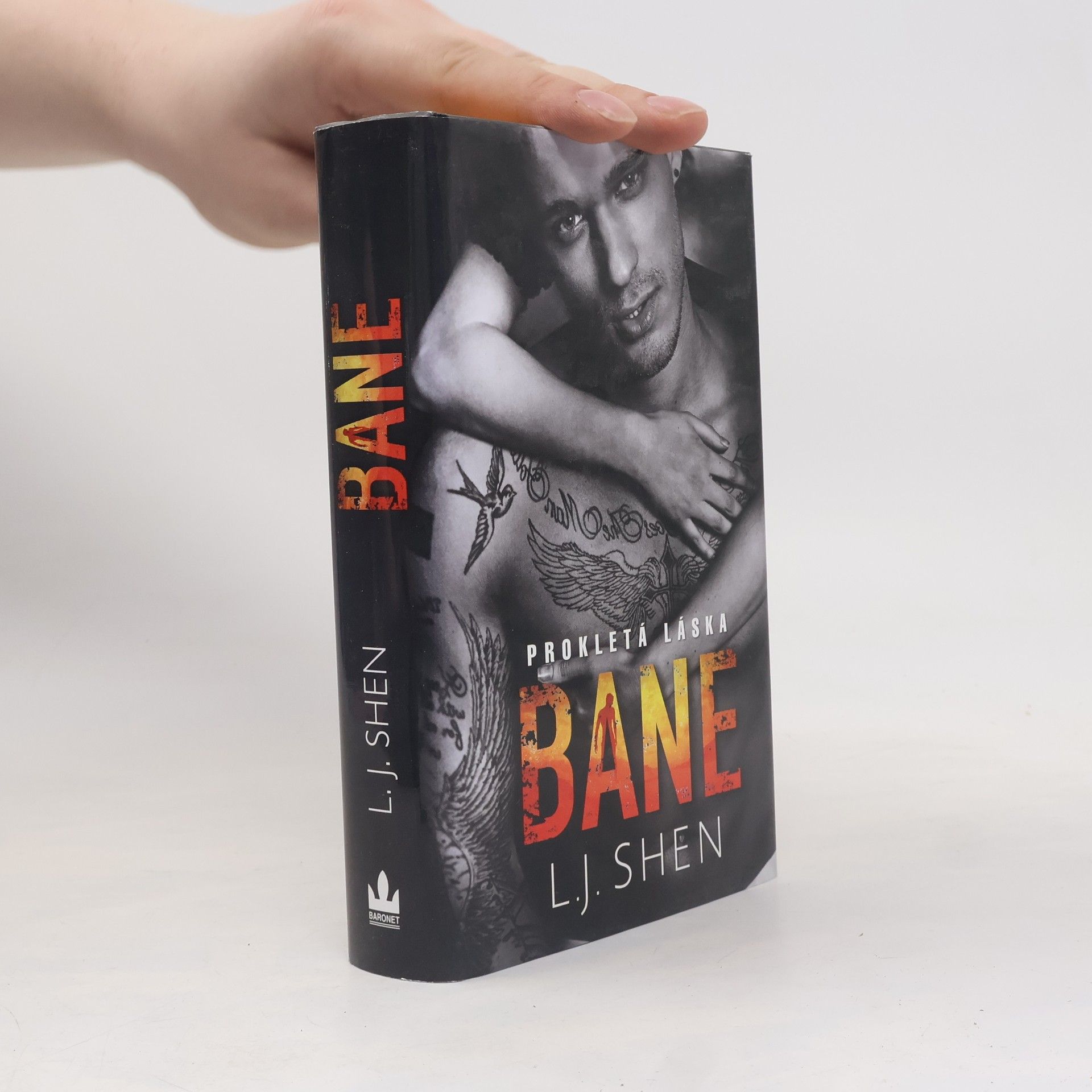 L. J.  Shen Bane: Prokletá láska