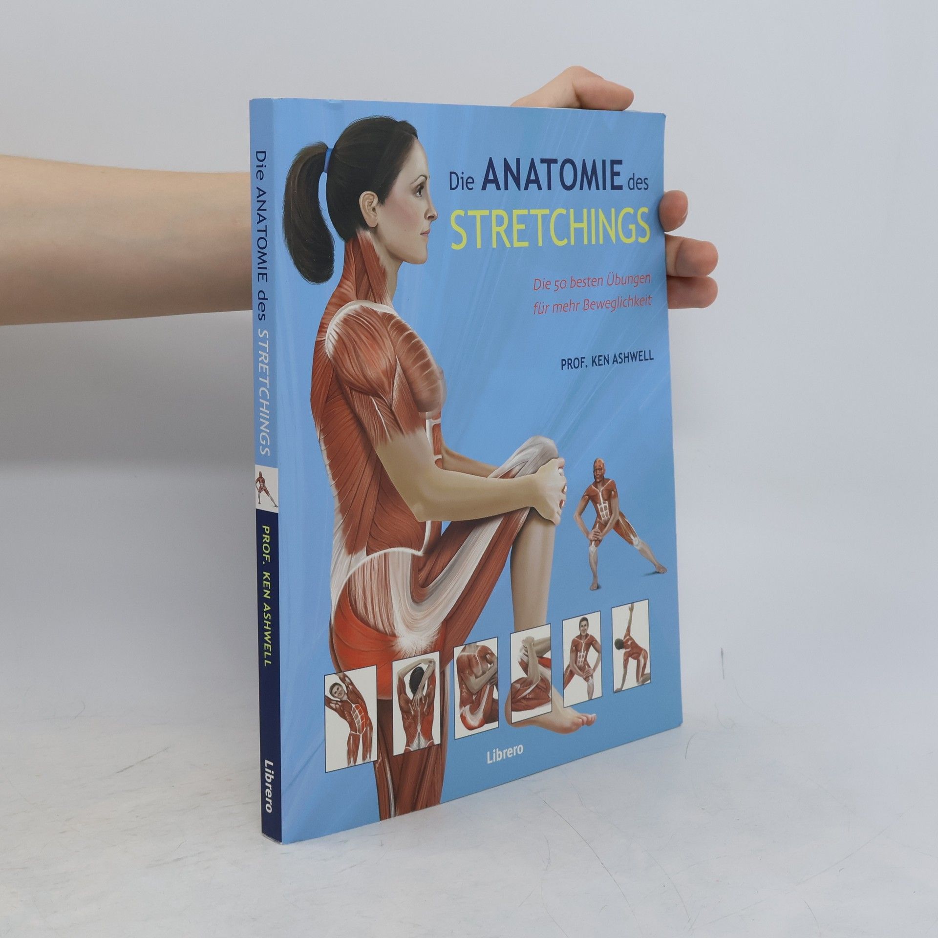 Ken Ashwell Das Anatomie des Stretchings