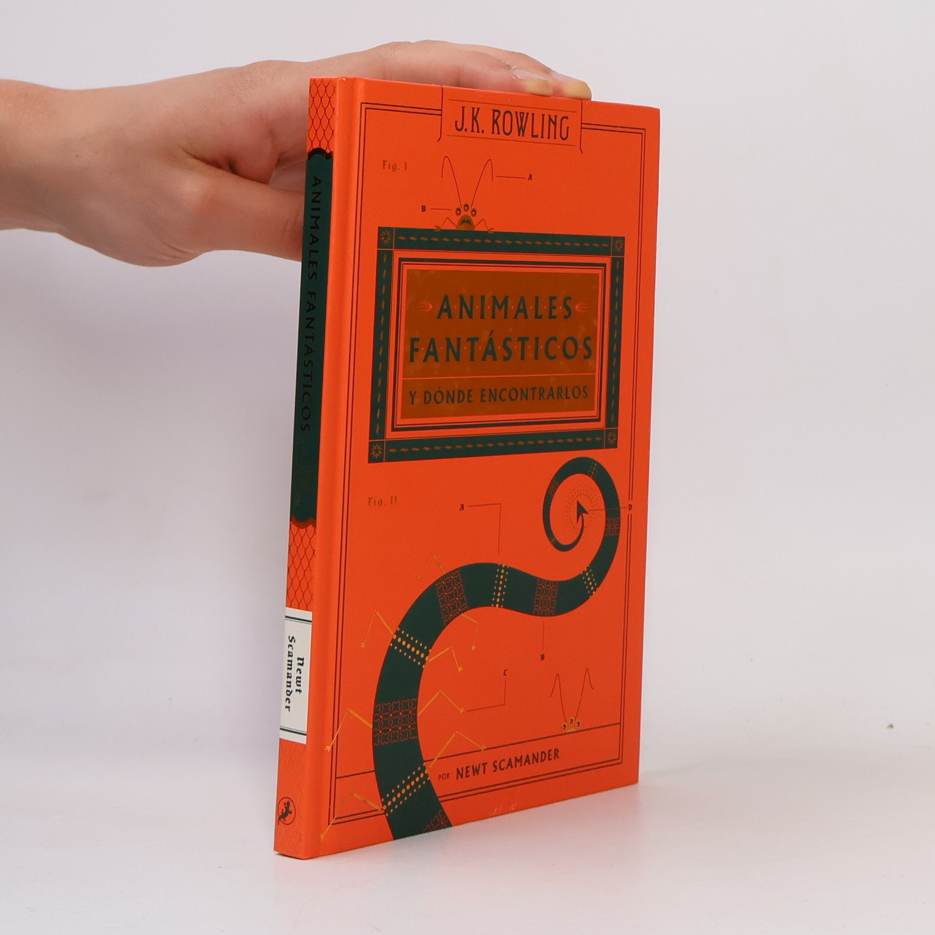Newt Scamander Harry Potter: Animales fantásticos y dónde encontrarlos