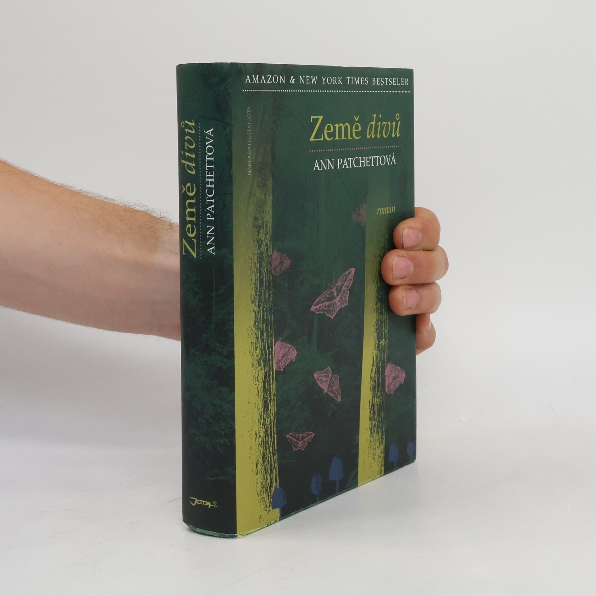 Ann Patchett Země divů