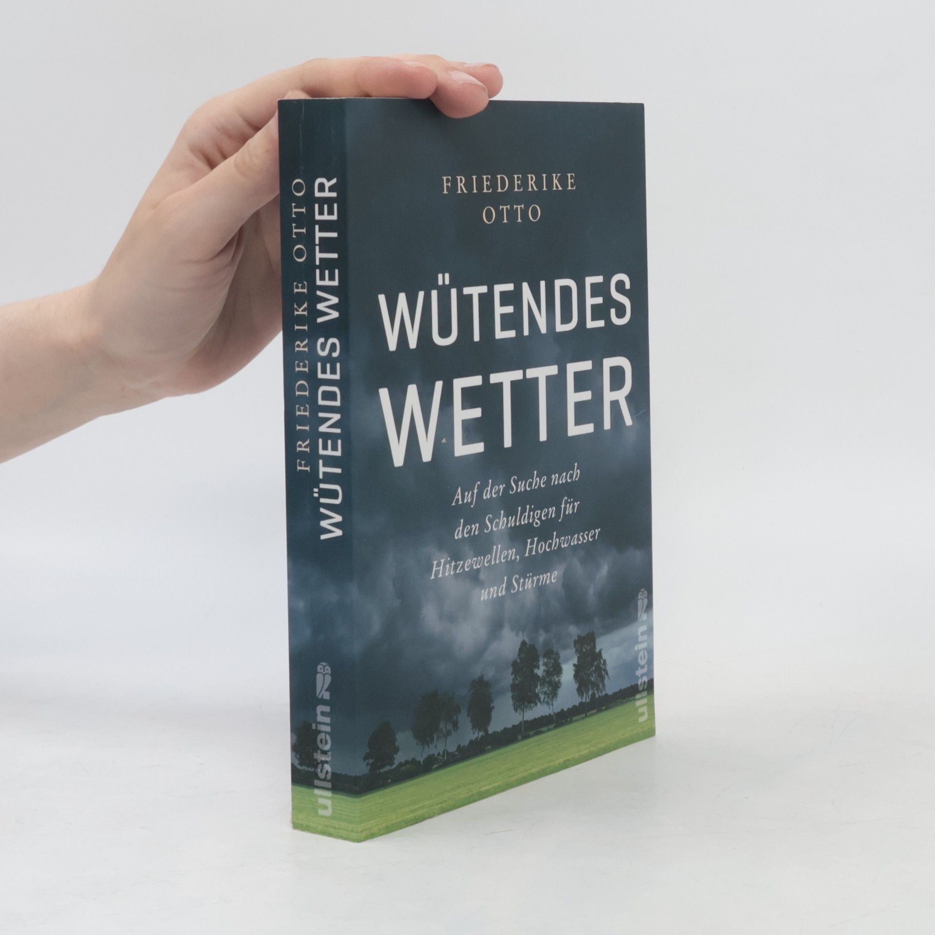 Friederike Otto Wütendes Wetter