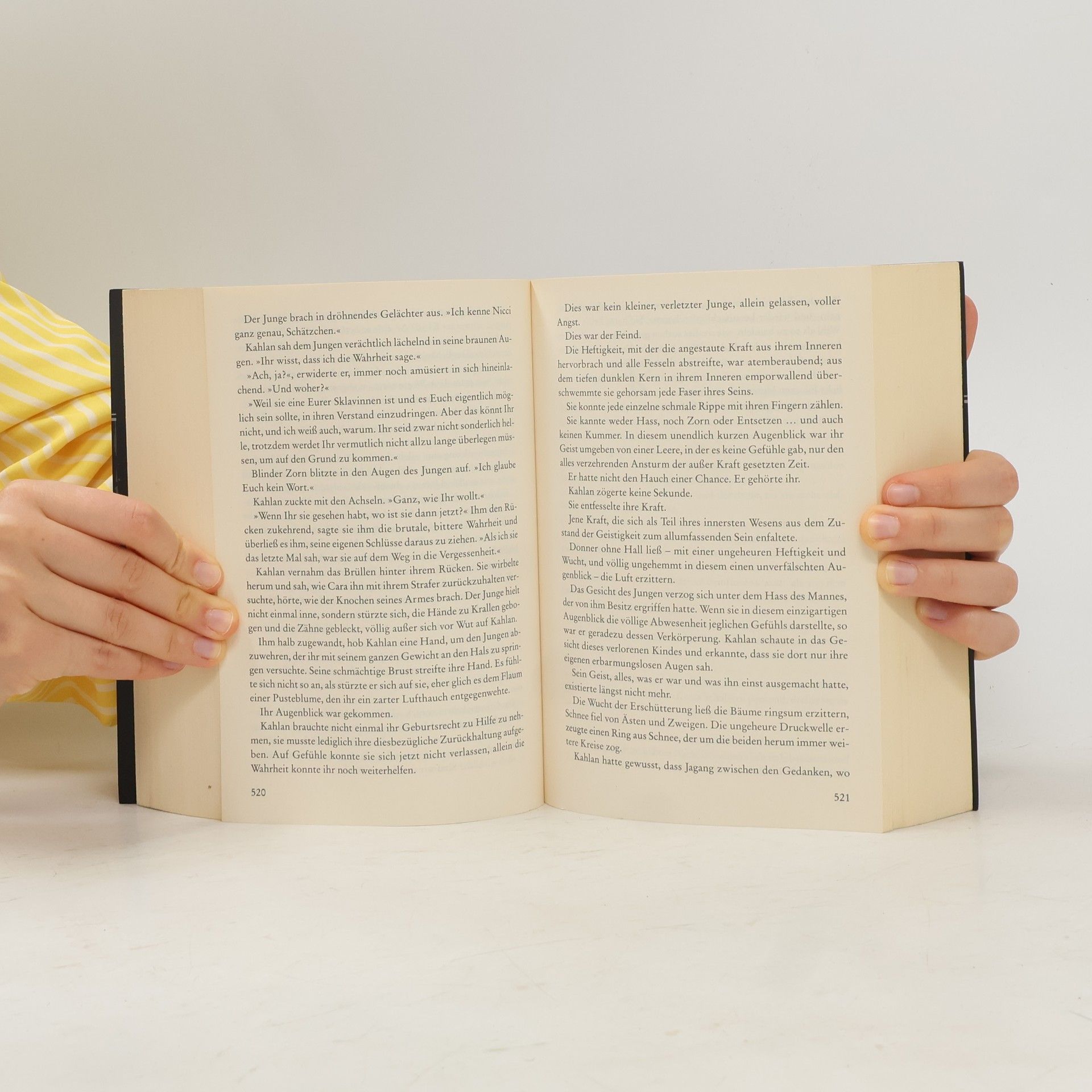 Terry Goodkind Das Schwert der Wahrheit