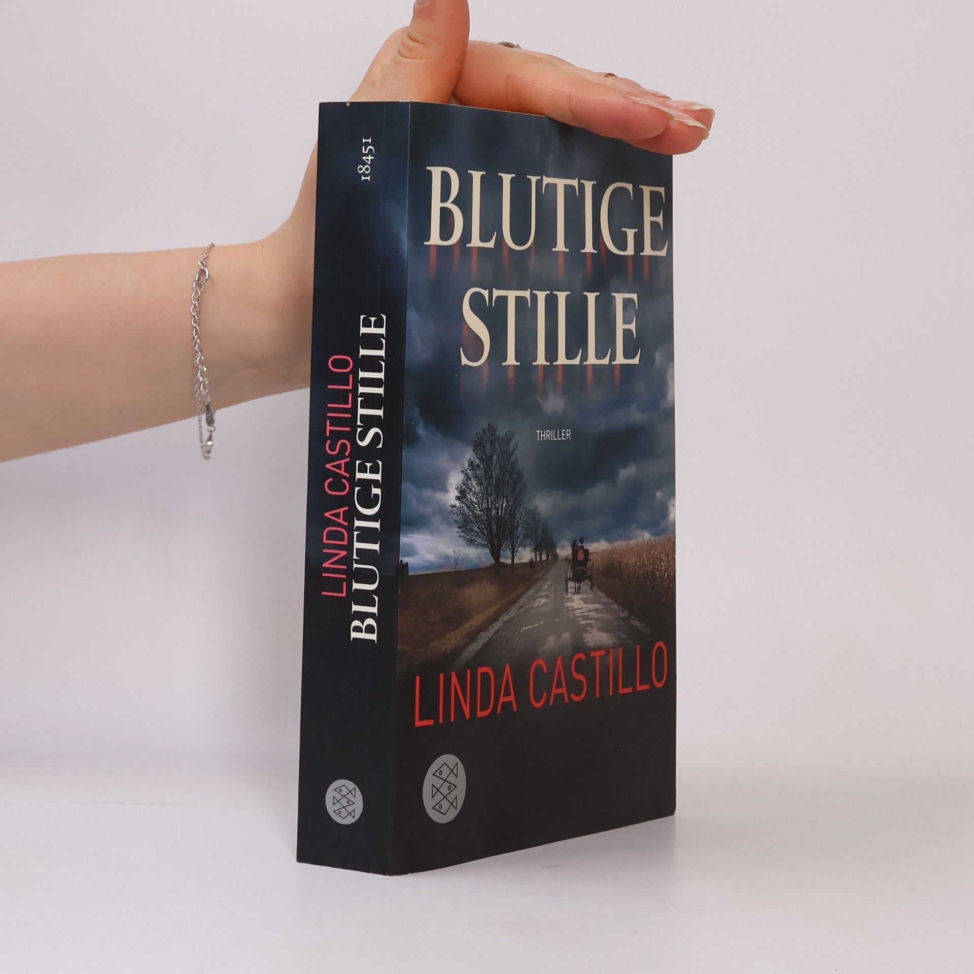 Linda Castillo Blutige Stille