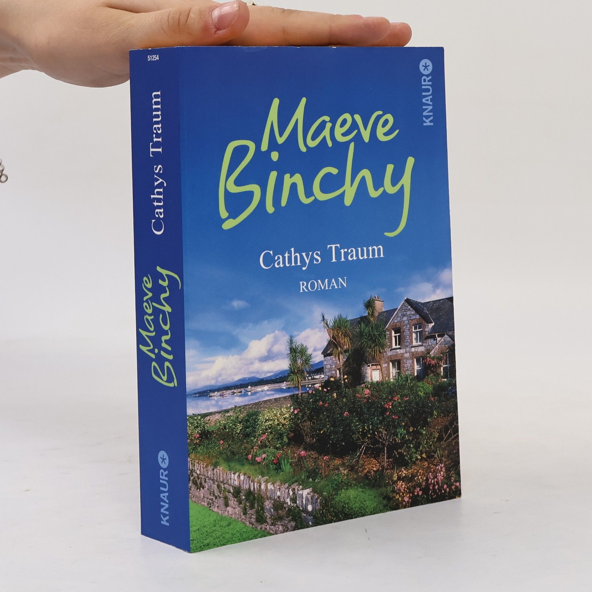 Maeve Binchy Cathys Traum