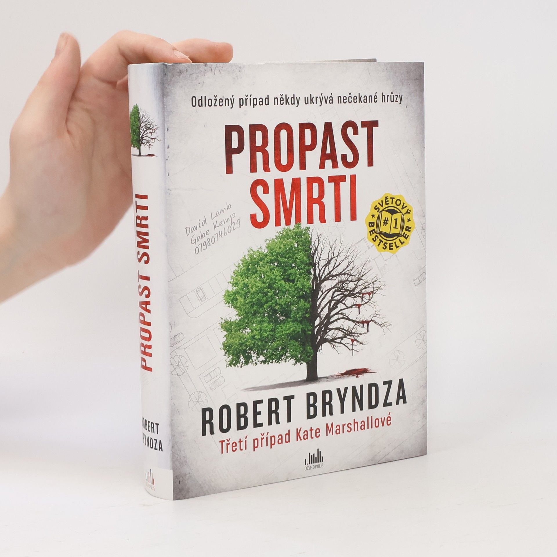 Robert Bryndza Propast smrti