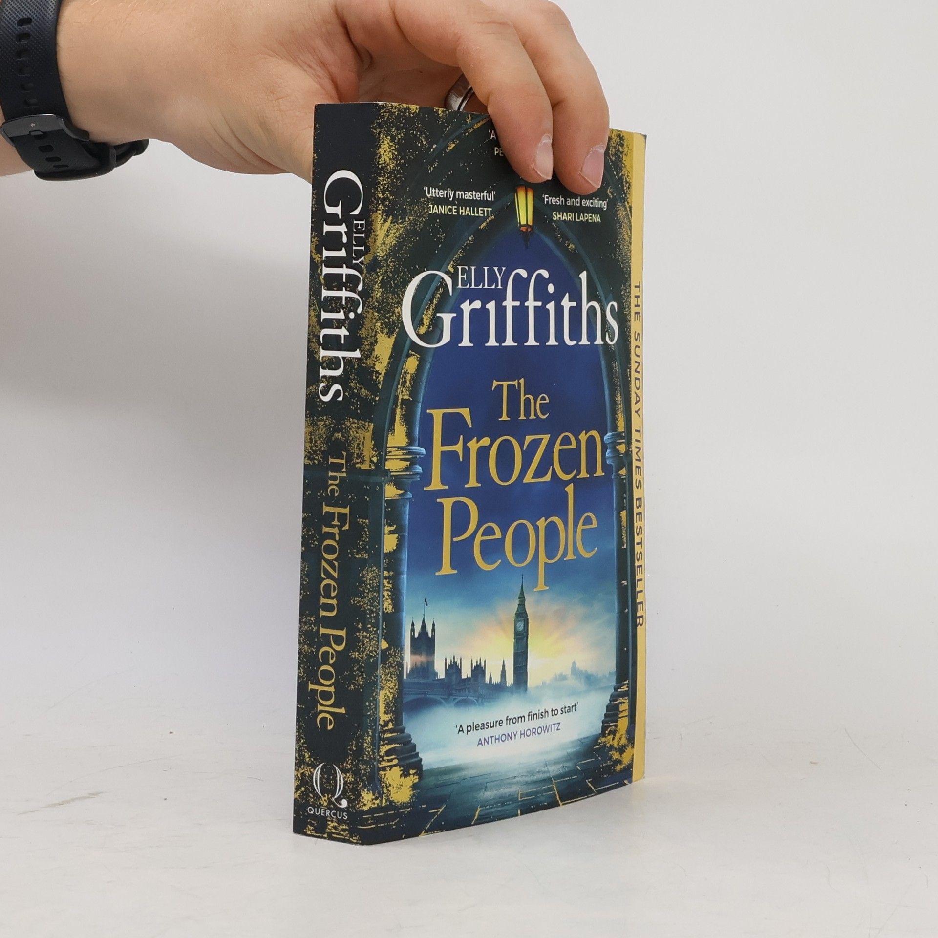 Janice Hallett The Frozen People