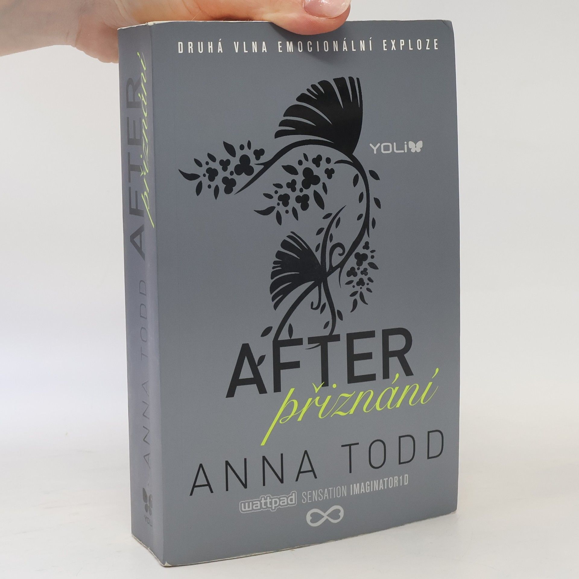 Anna Todd After. Přiznání