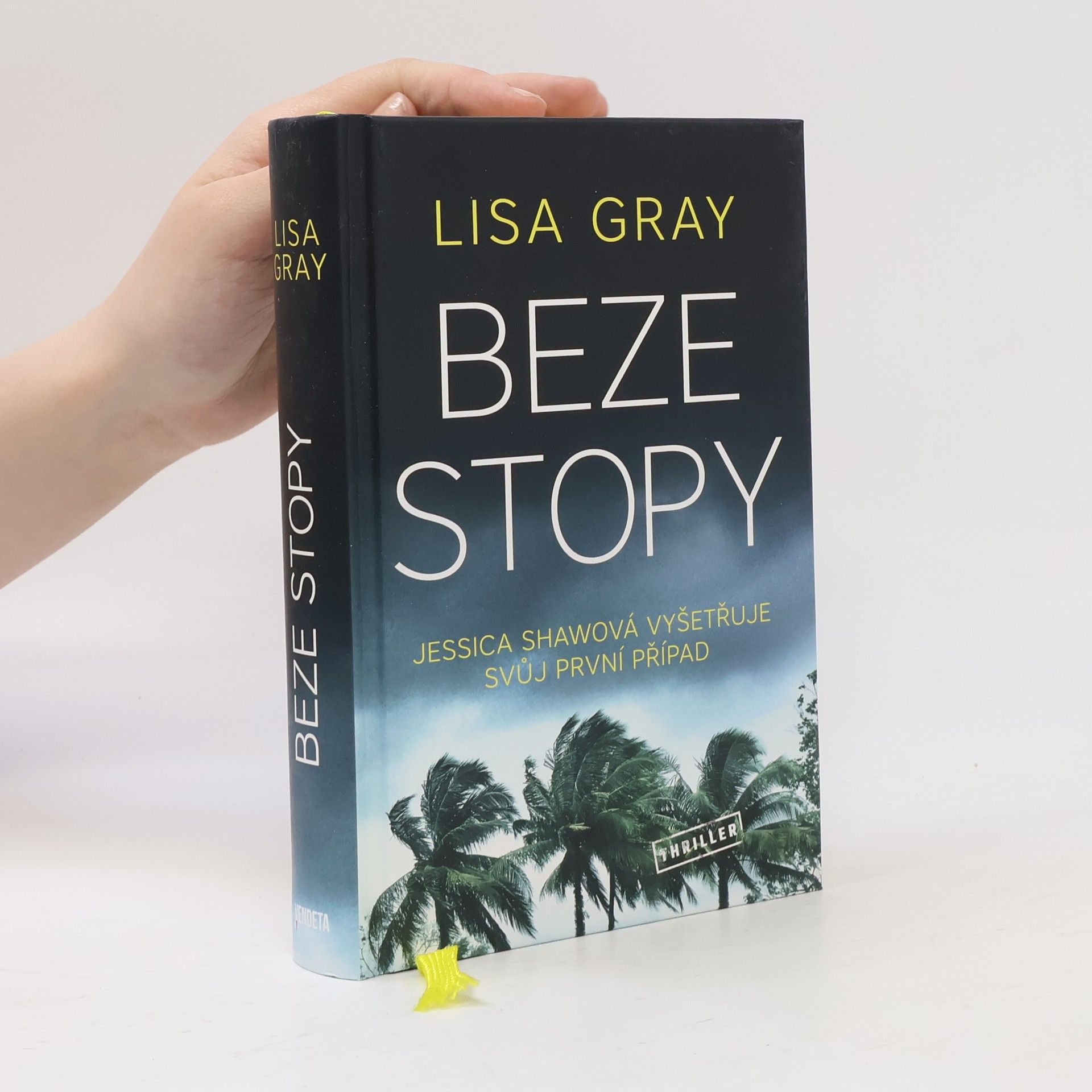 Lisa Gray Beze stopy