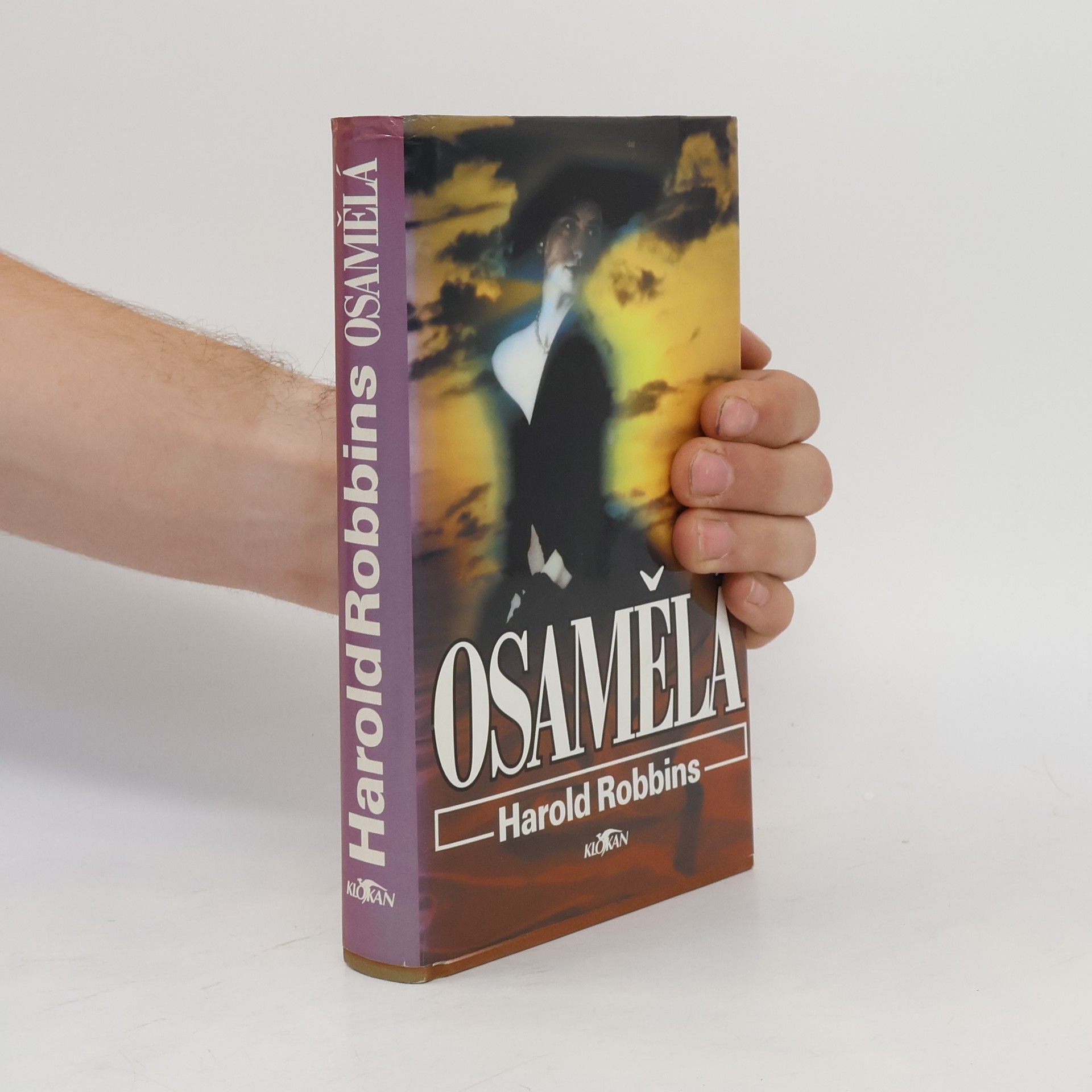 Harold Robbins Osamělá