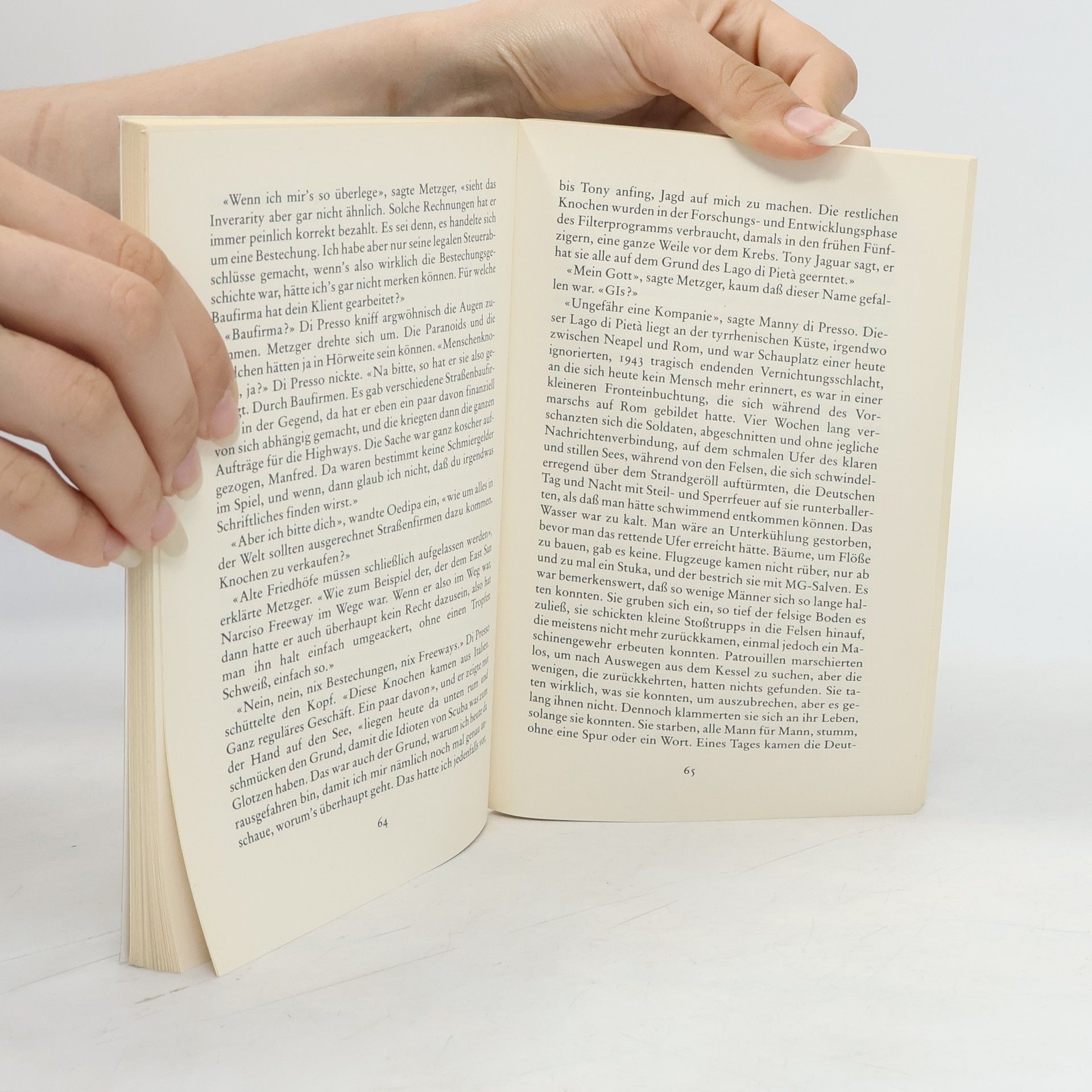 Thomas Pynchon Die Versteigerung von No. 49