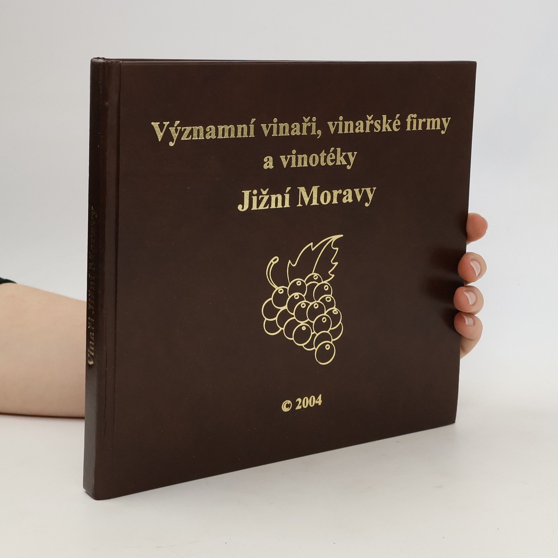 Autorenkollektiv Významní vinaři, vinařské firmy a vinotéky jižní Moravy