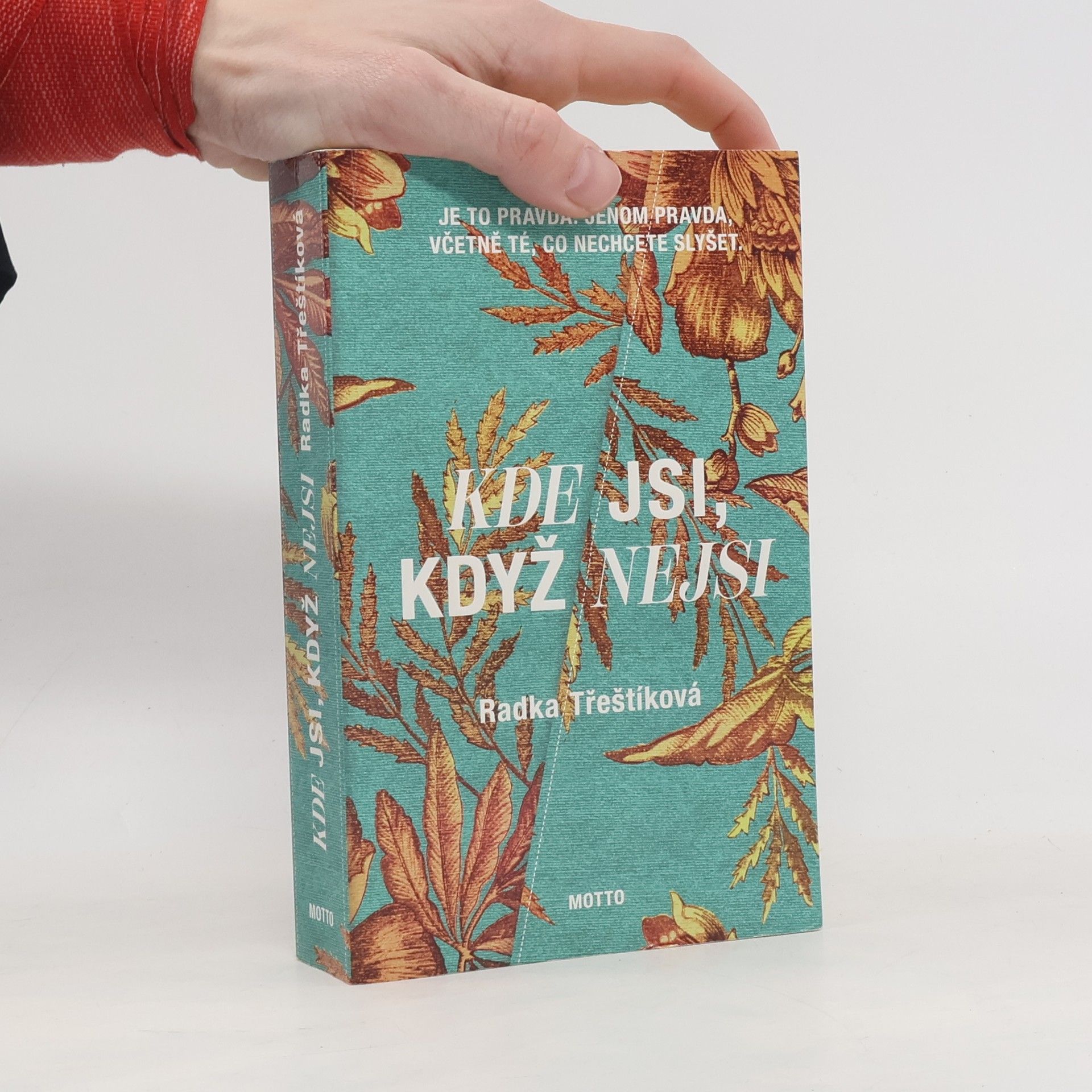Radka Třeštíková Kde jsi, když nejsi