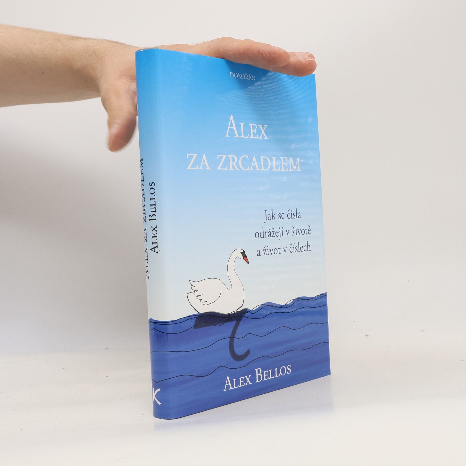 Alex Bellos Alex za zrcadlem