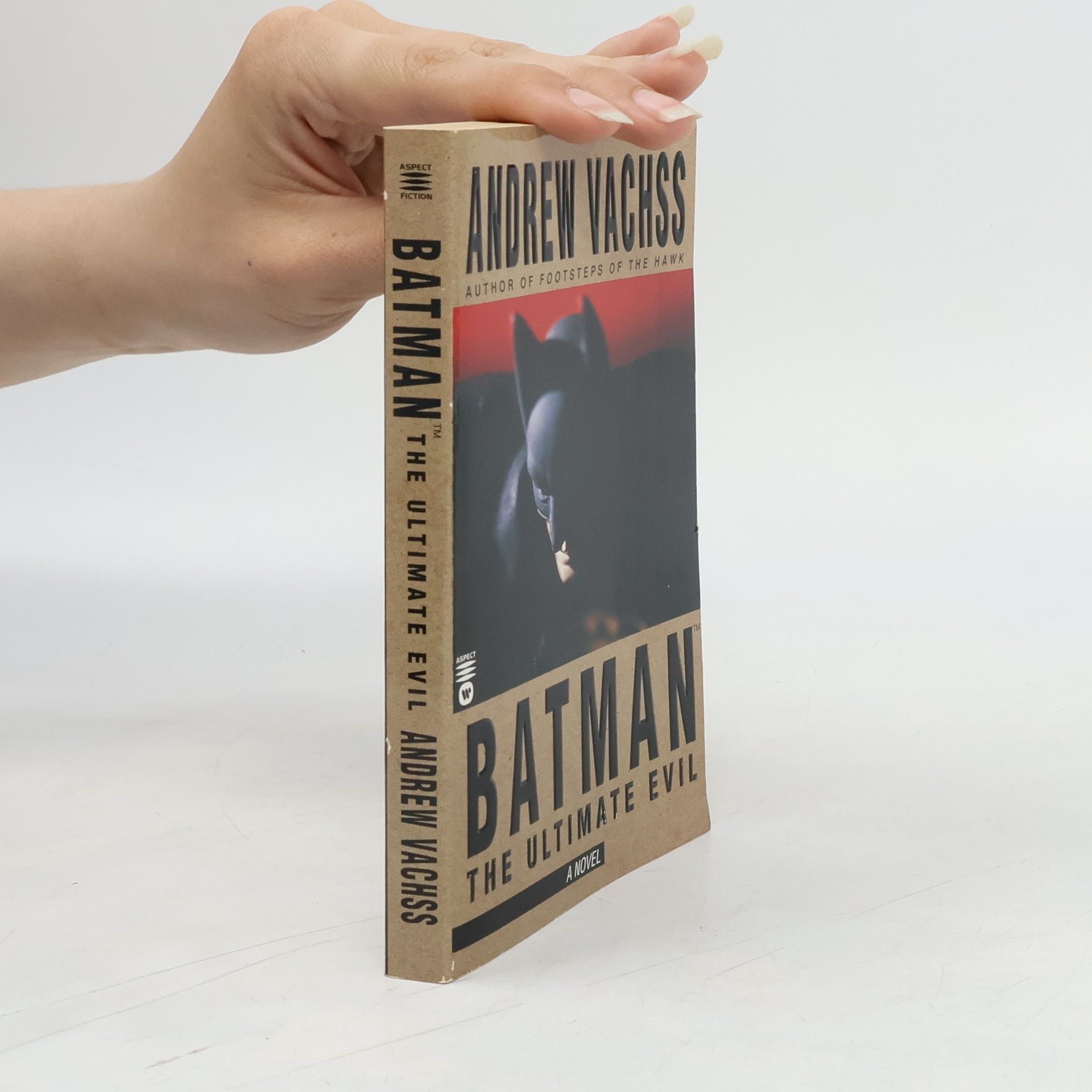 Andrew Vachss Batman