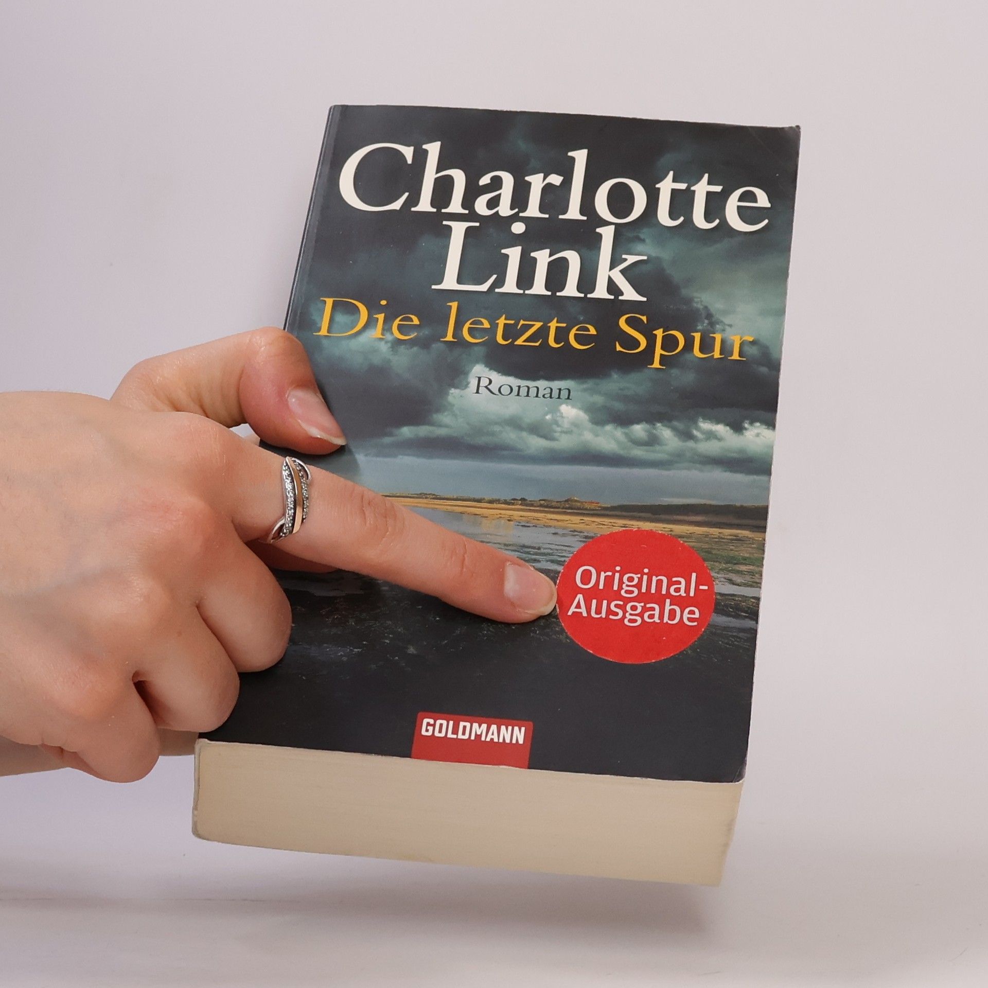 Charlotte Link Die letzte Spur