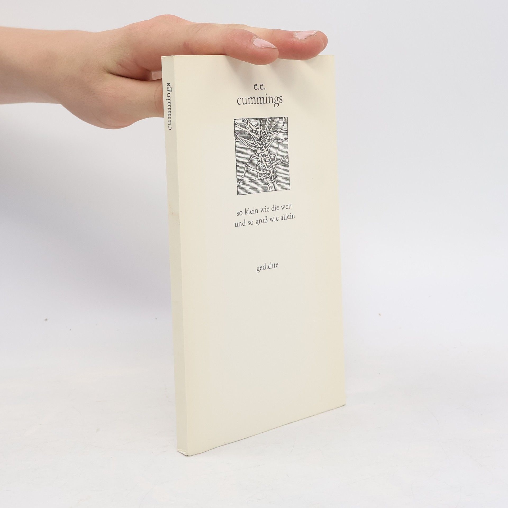 Edward Estlin Cummings So klein wie die welt und so groß wie allein