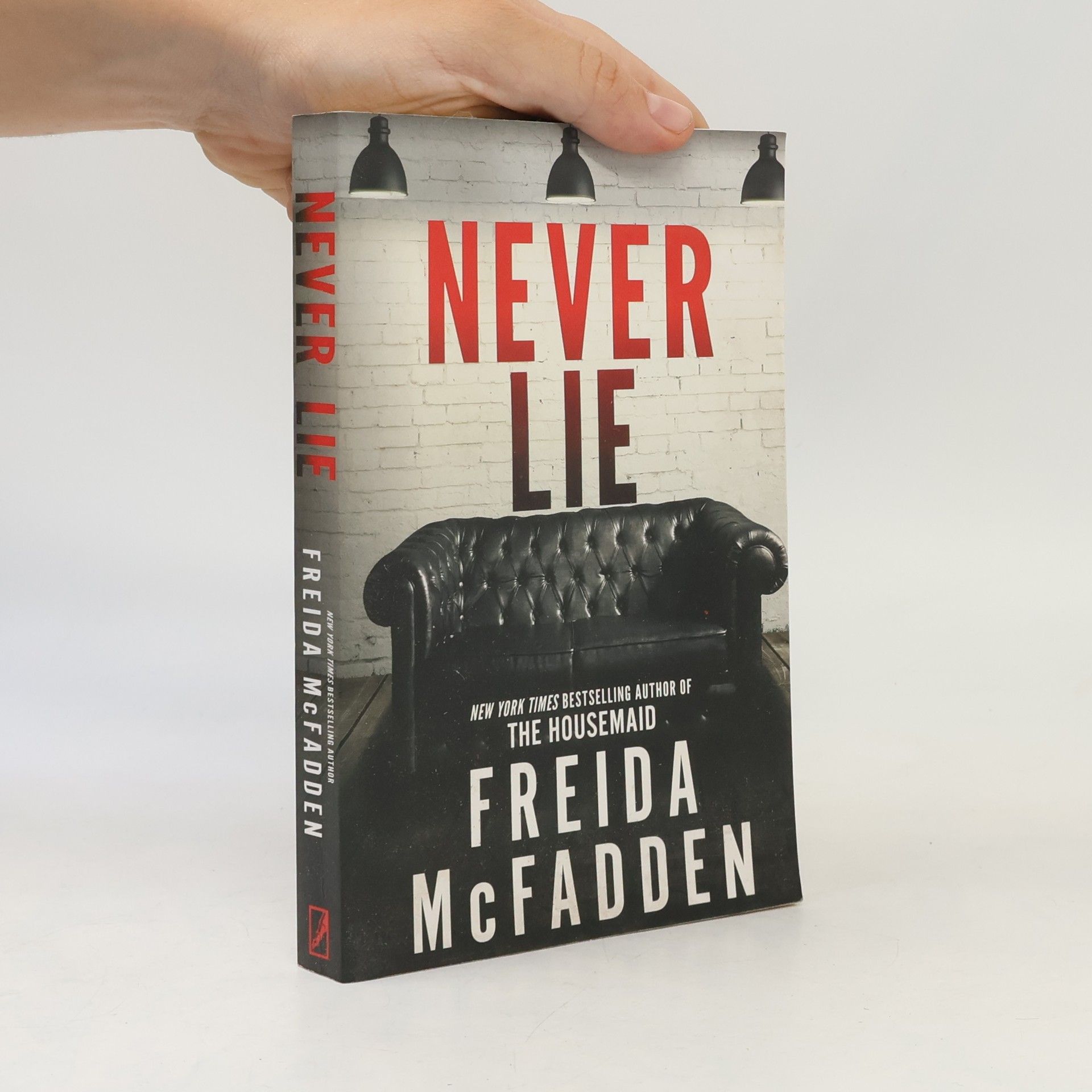 Freida McFadden Never Lie