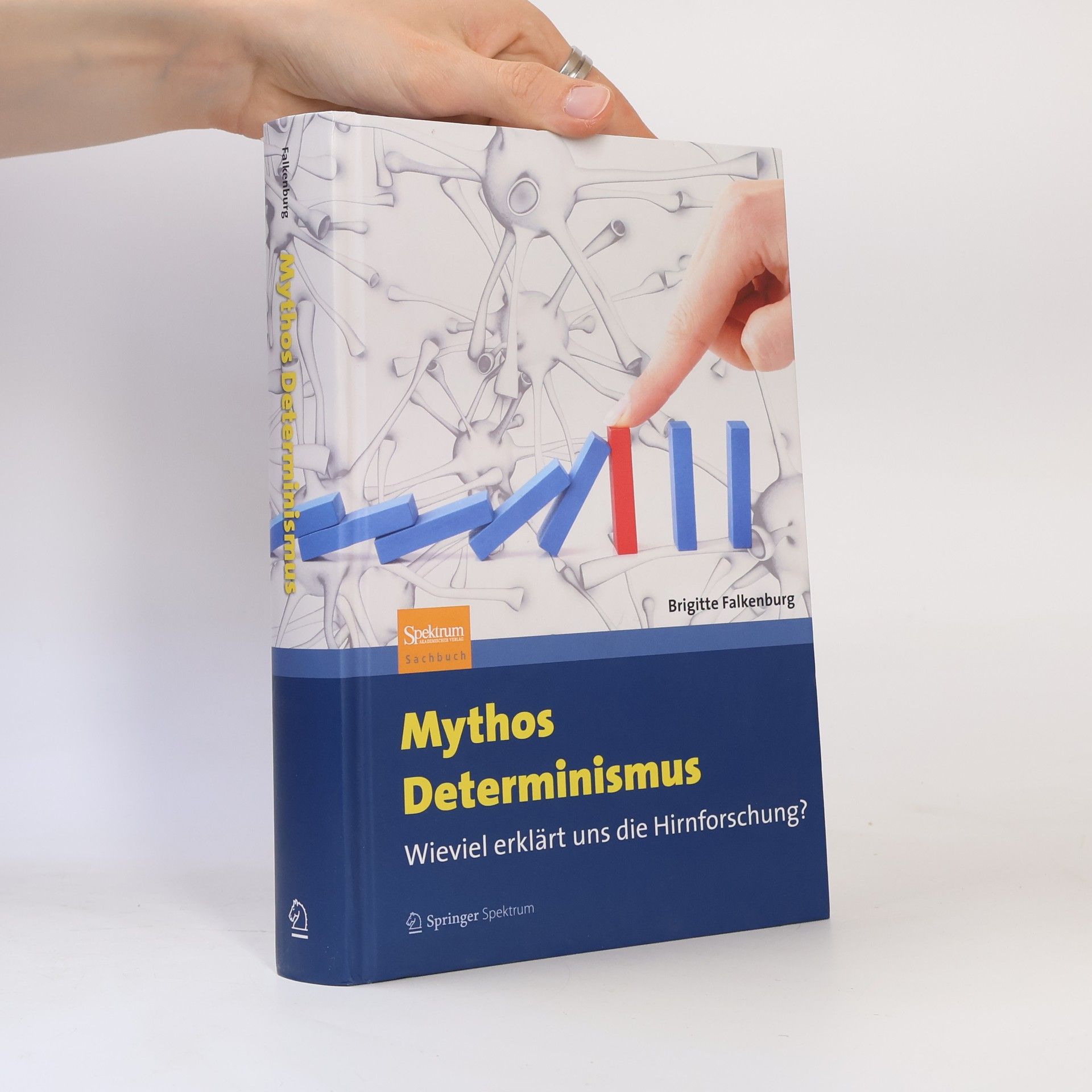 Brigitte Falkenburg Mythos Determinismus
