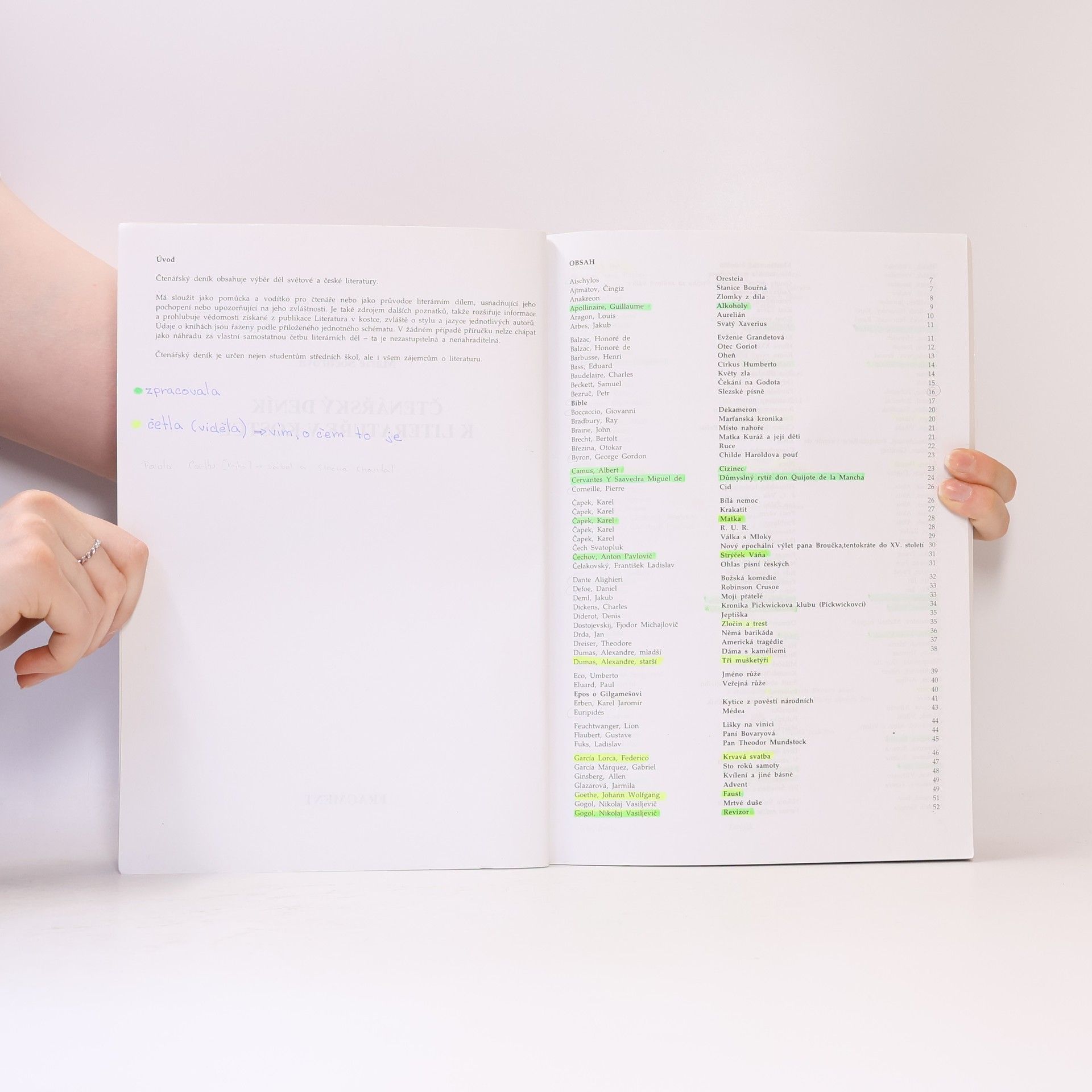 Marie Sochrová Čtenářský deník k Literatuře v kostce