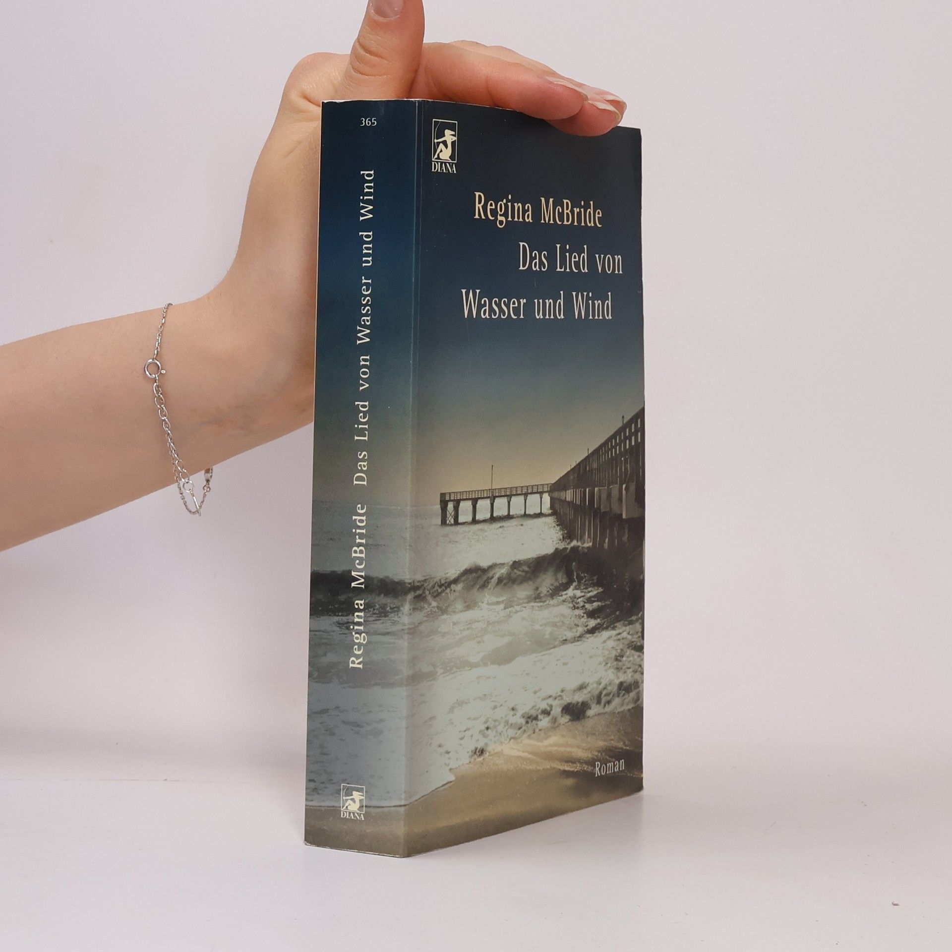 Regina McBride Das Lied von Wasser und Wind