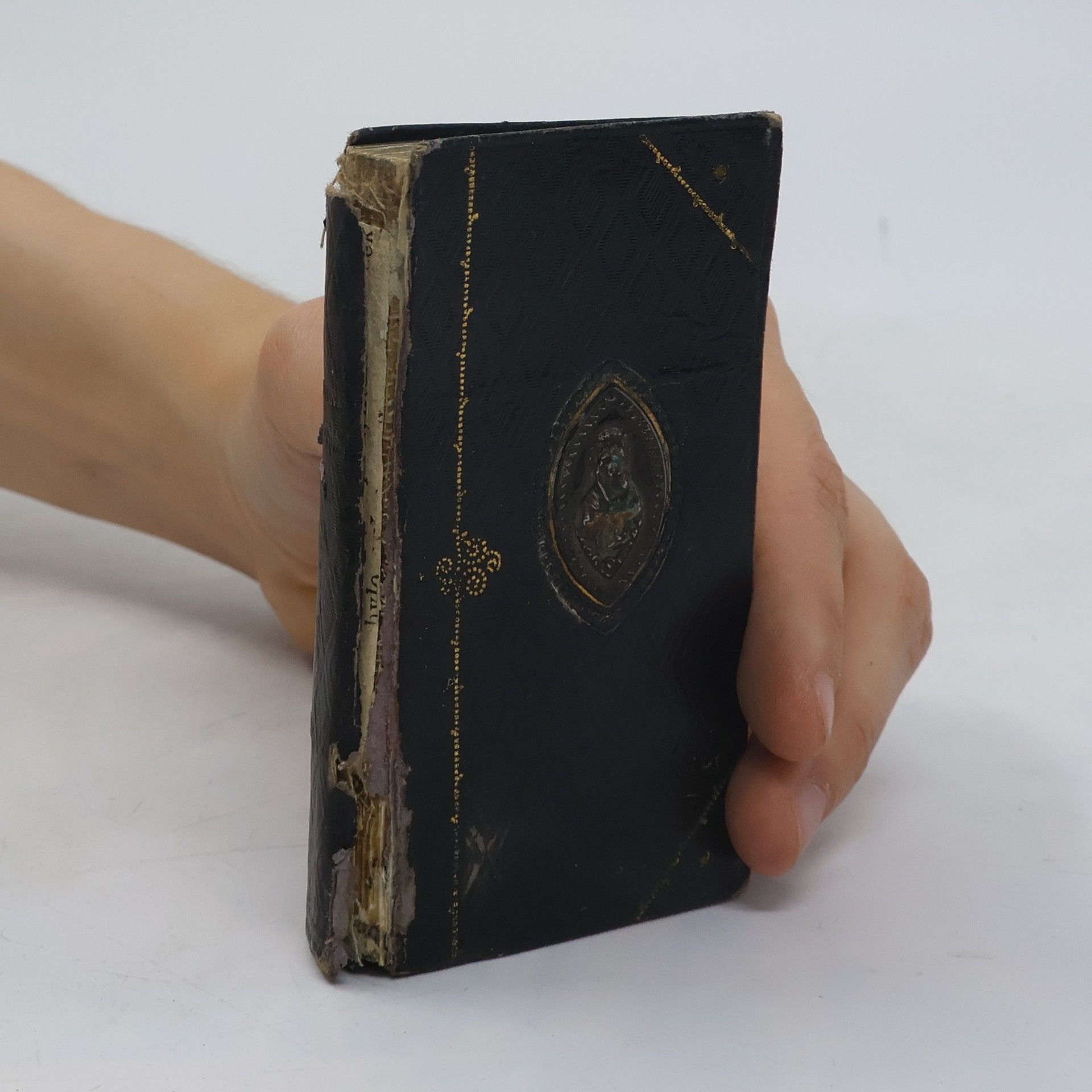 Josef Georg Dreer Himmelschule für die liebe Jugend