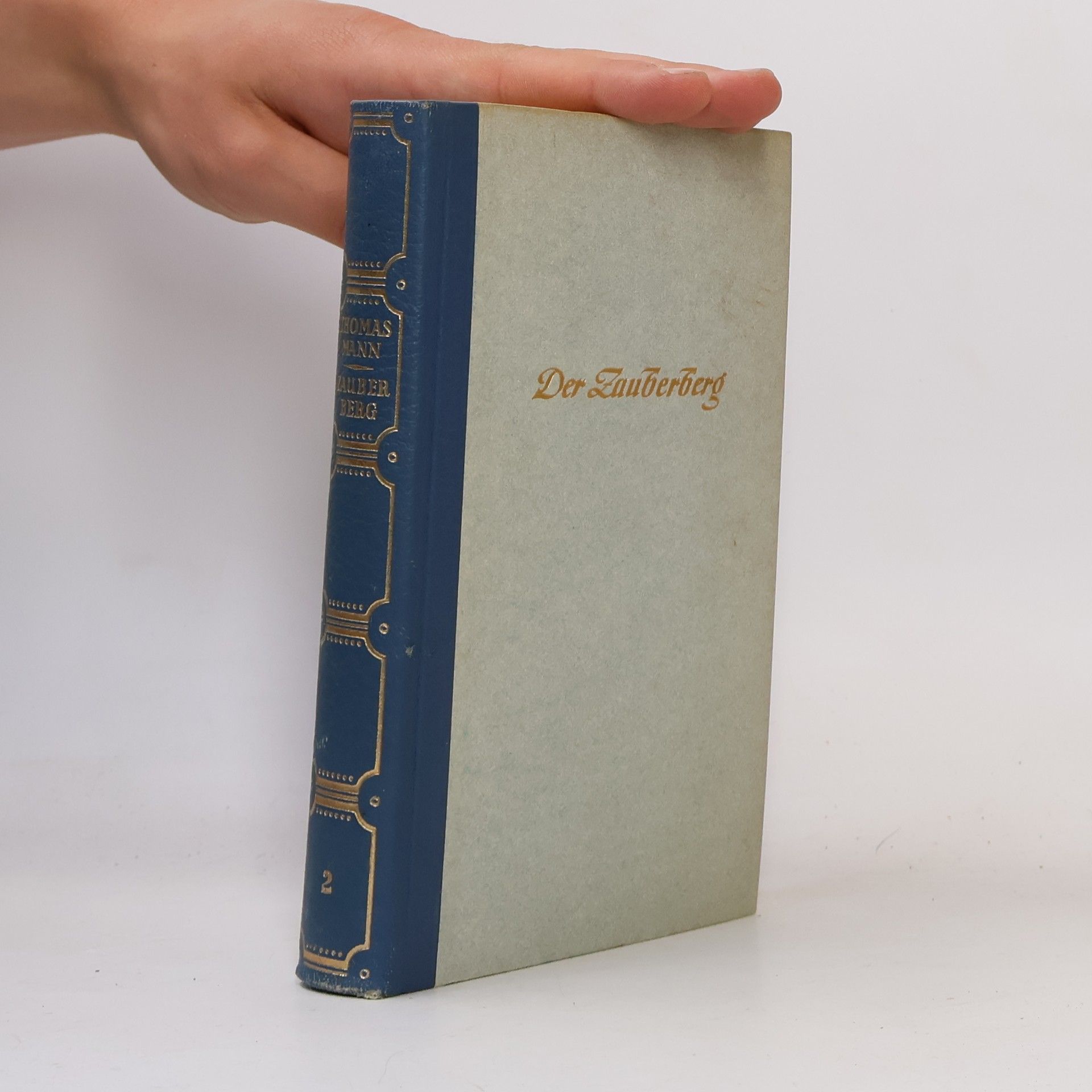 Thomas Mann Der Zauberberg 2