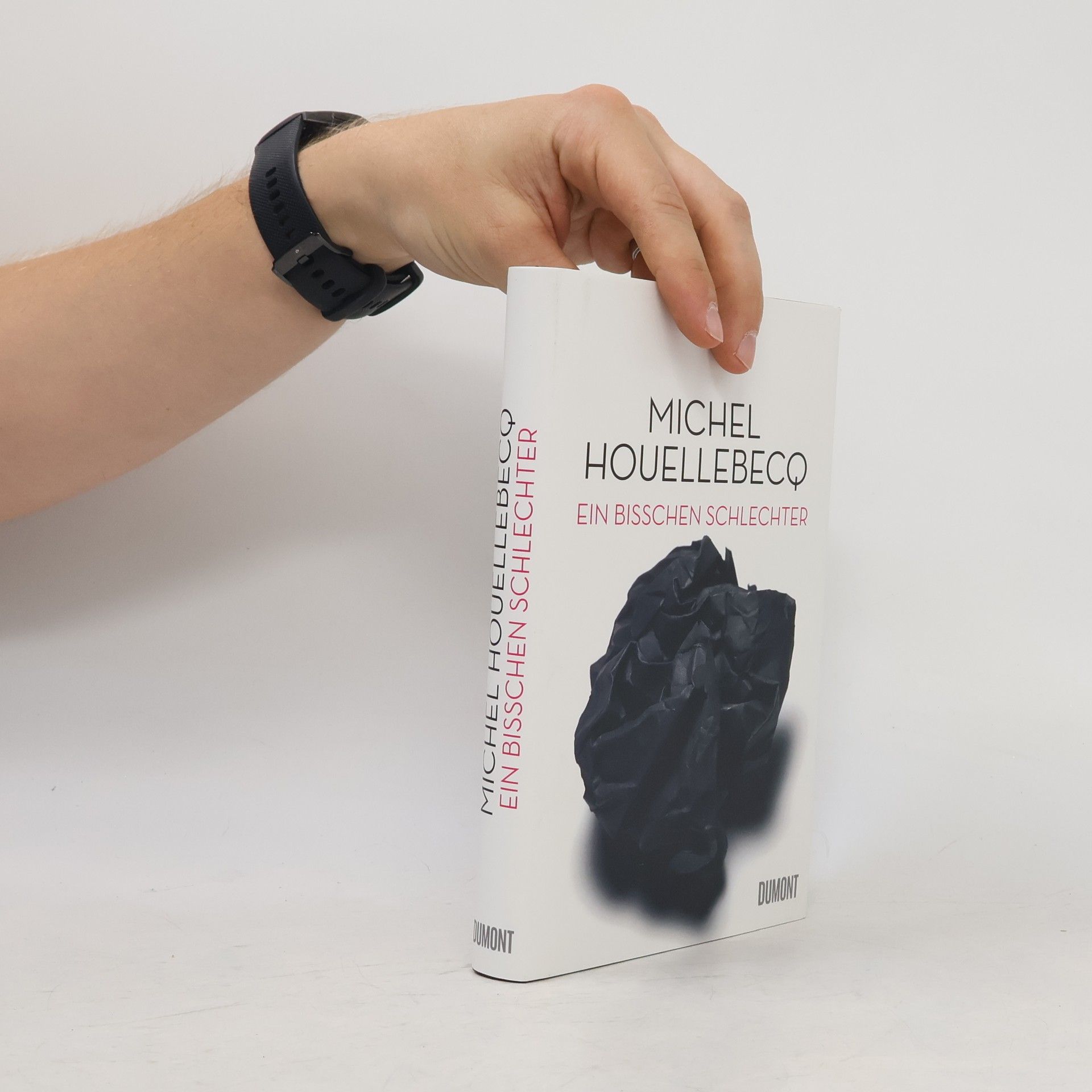 Michel Houellebecq Ein bisschen schlechter