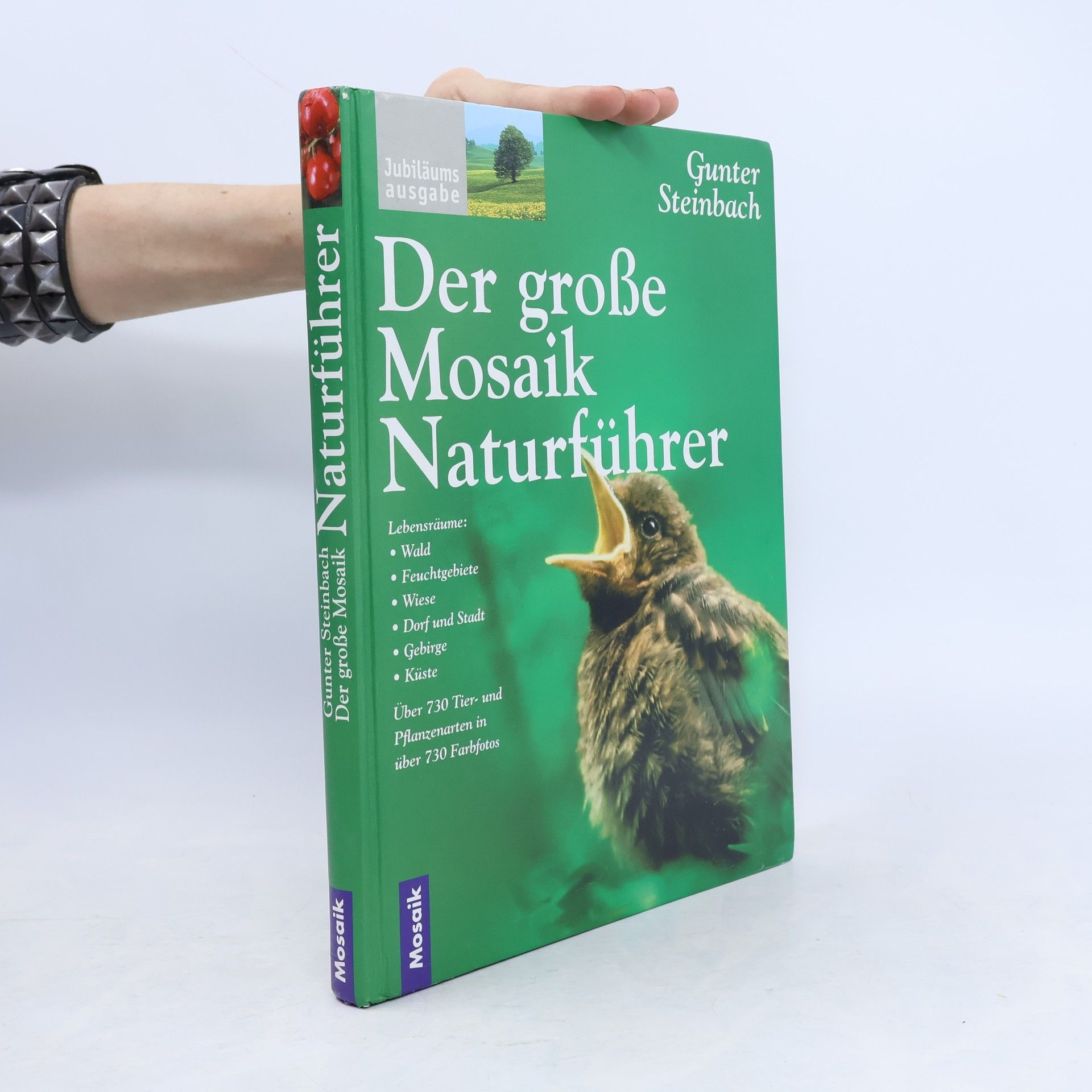 Gunter Steinbach Der große Mosaik-Naturführer