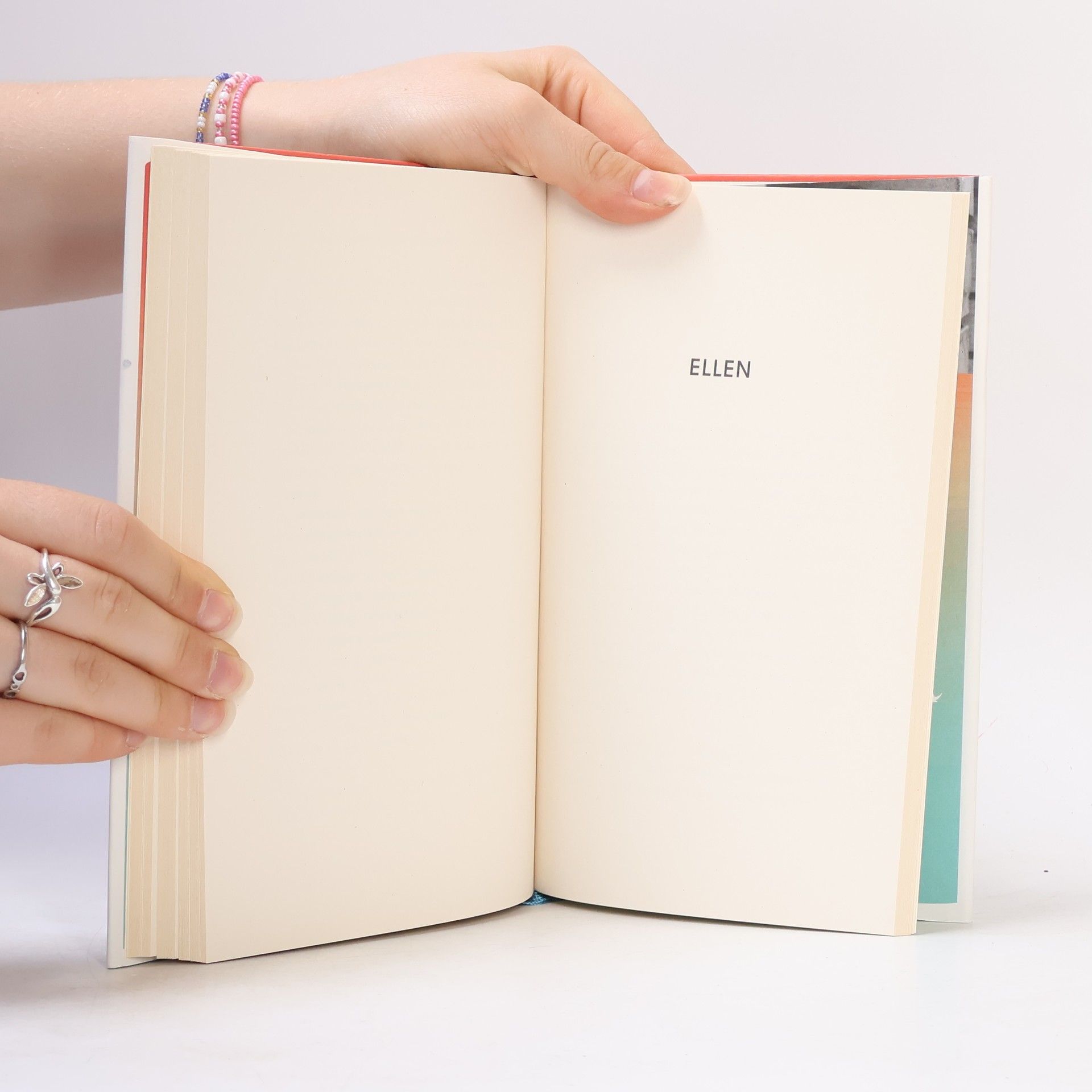 Lucy Fricke Das Fest. Roman | Das neue Buch der Bestsellerautorin | Über die Lebenskrise, die uns der 50. Geburtstag schenkt