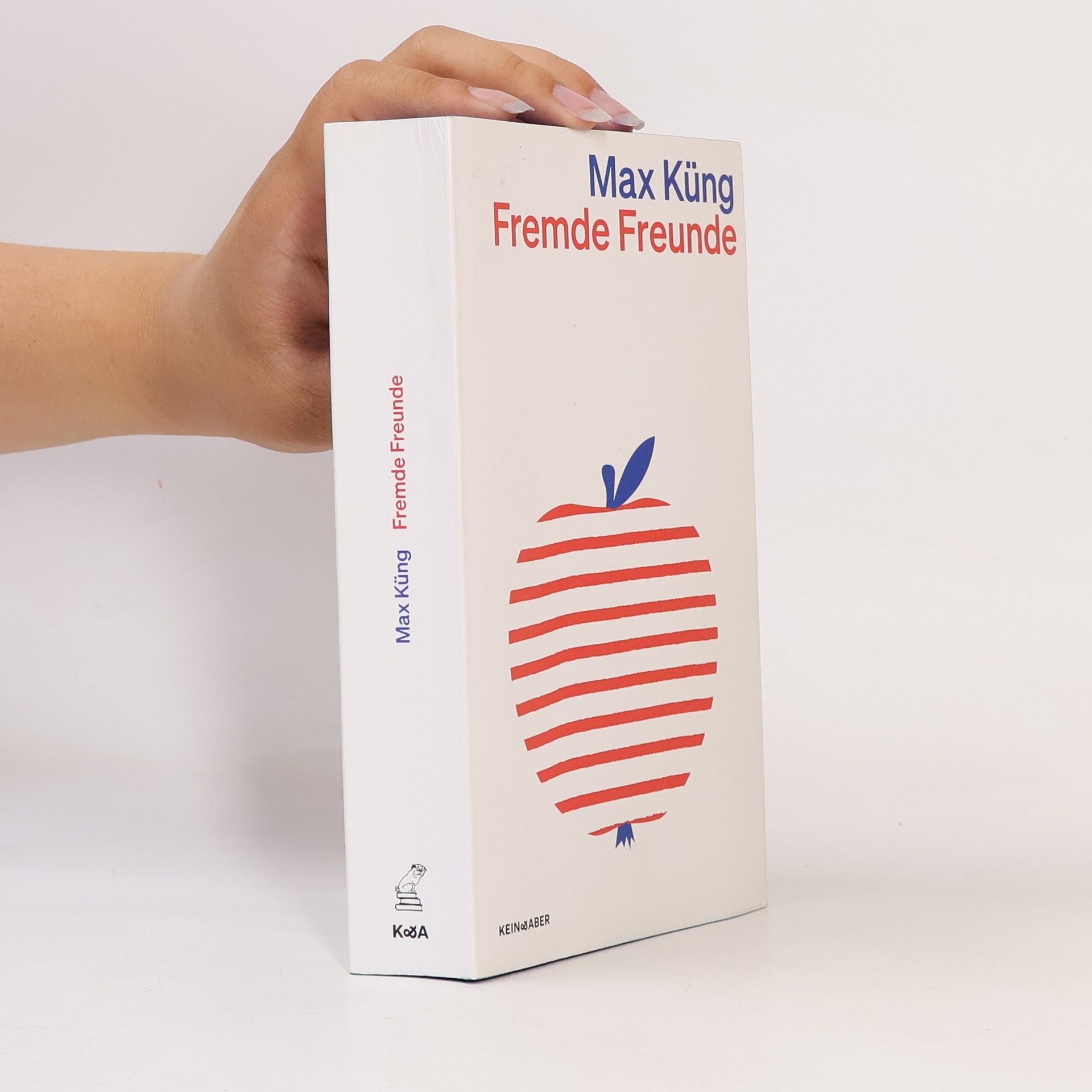 Max Küng Fremde Freunde