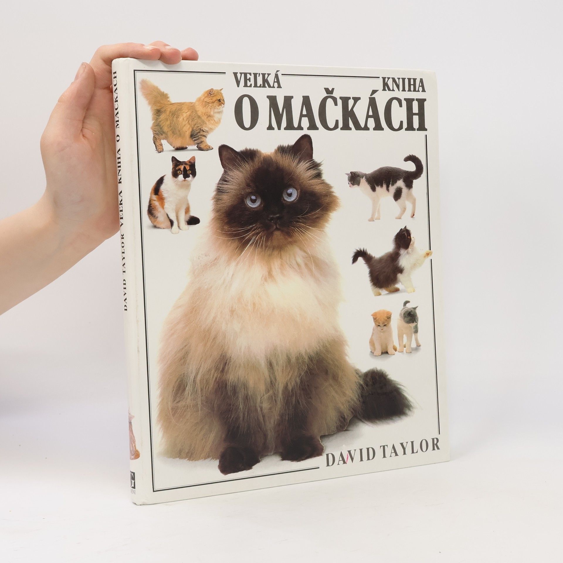 David Taylor Veľká kniha o mačkách
