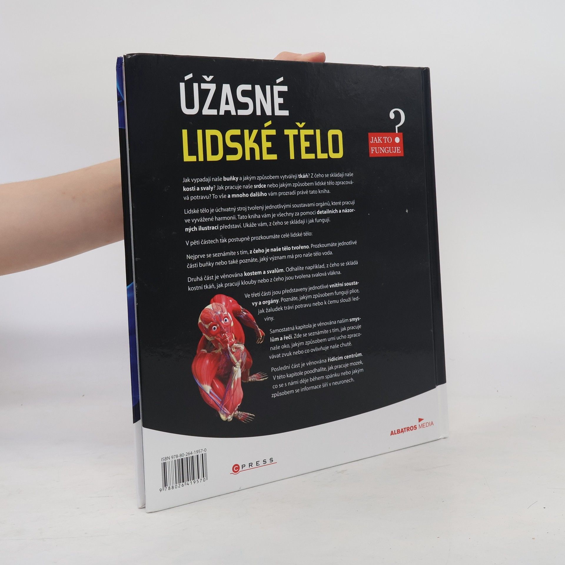 Autorenkollektiv Úžasné lidské tělo - Jak to funguje?