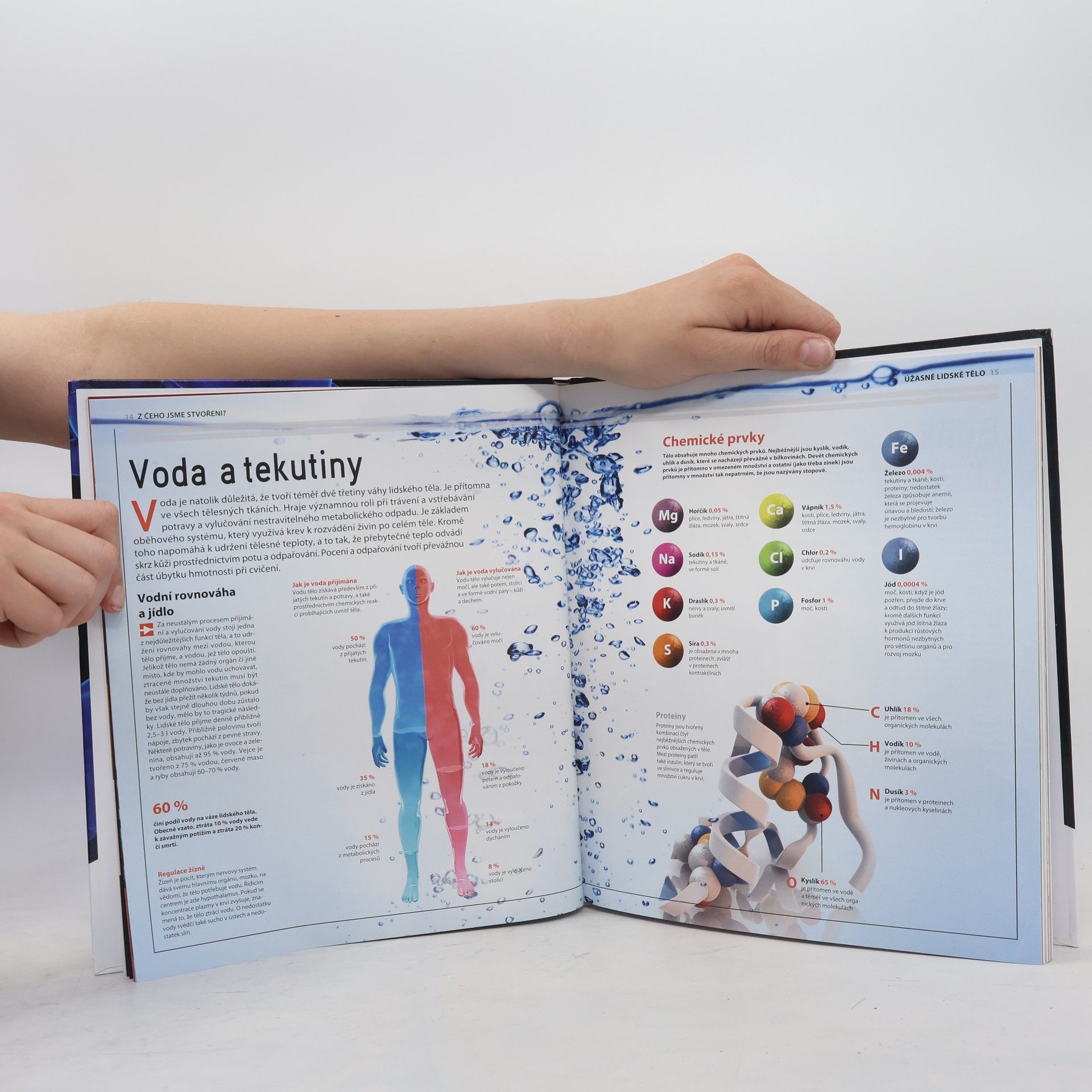 Autorenkollektiv Úžasné lidské tělo - Jak to funguje?