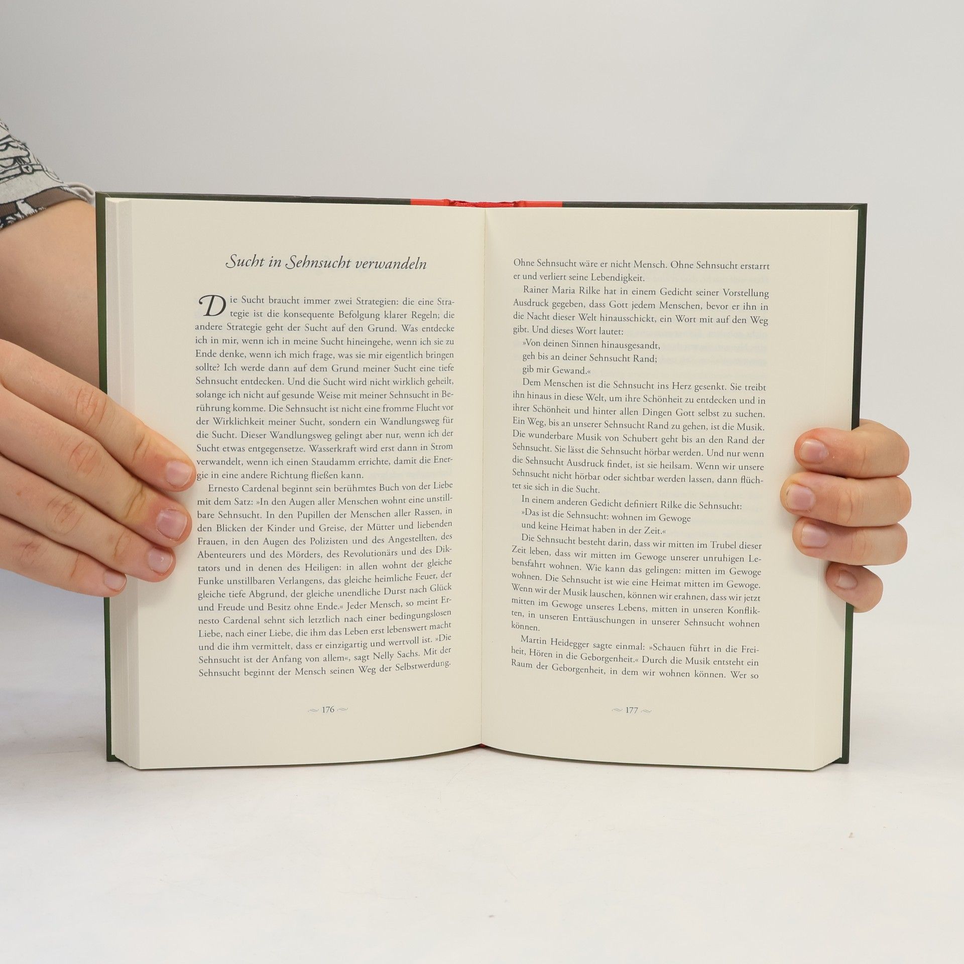 Anselm Grün Das große buch der lebenskunst