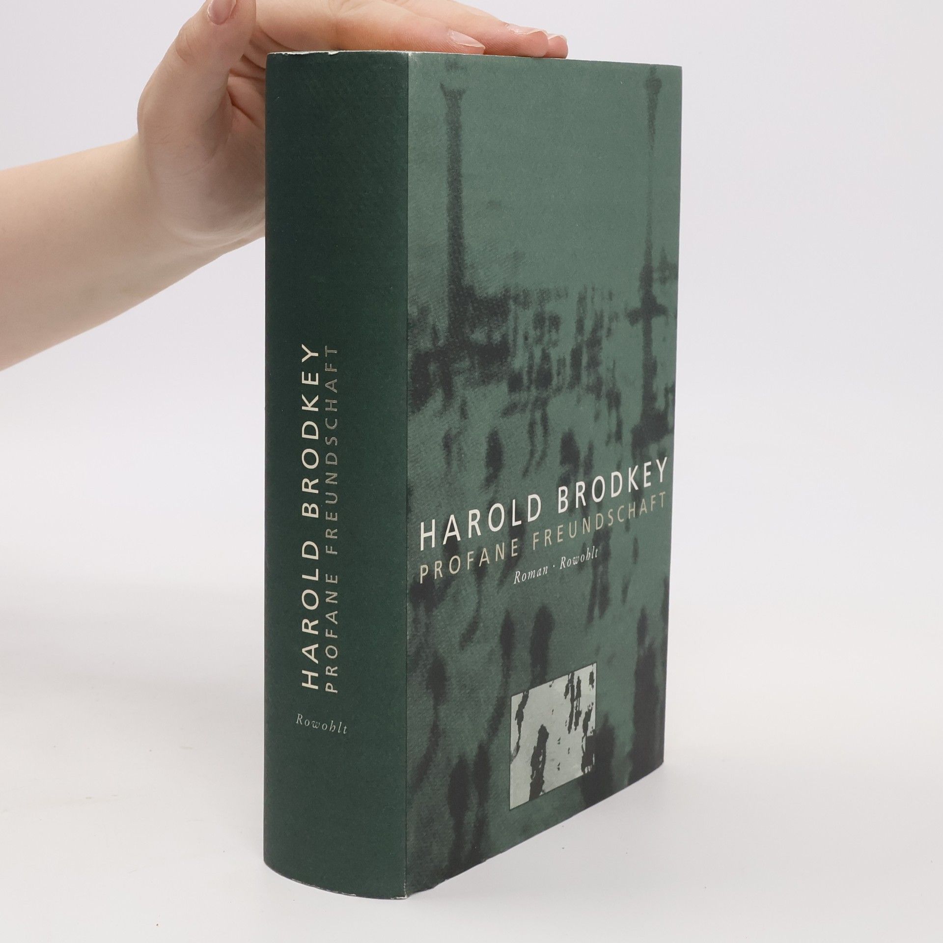 Harold Brodkey Profane Freundschaft