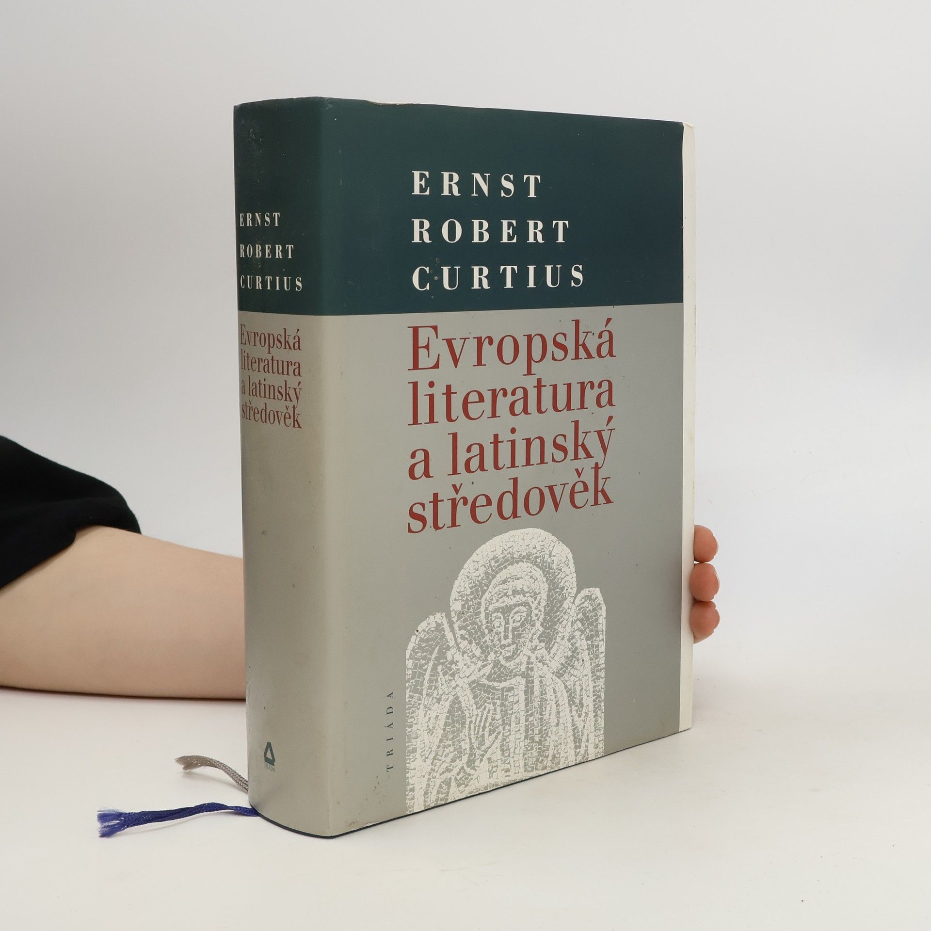 Ernst Robert Curtius Evropská literatura a latinský středověk