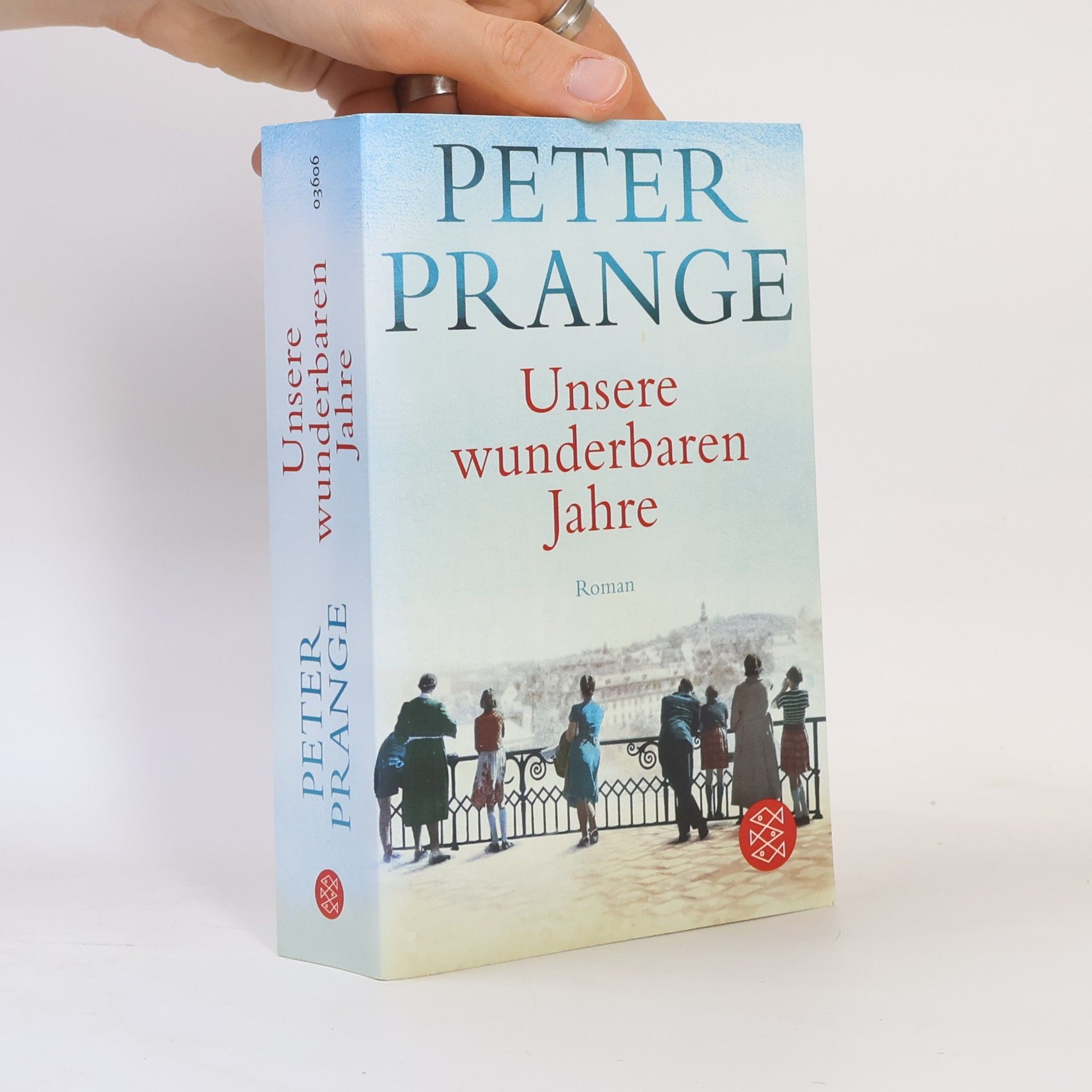 Peter Prange Unsere wunderbaren Jahre