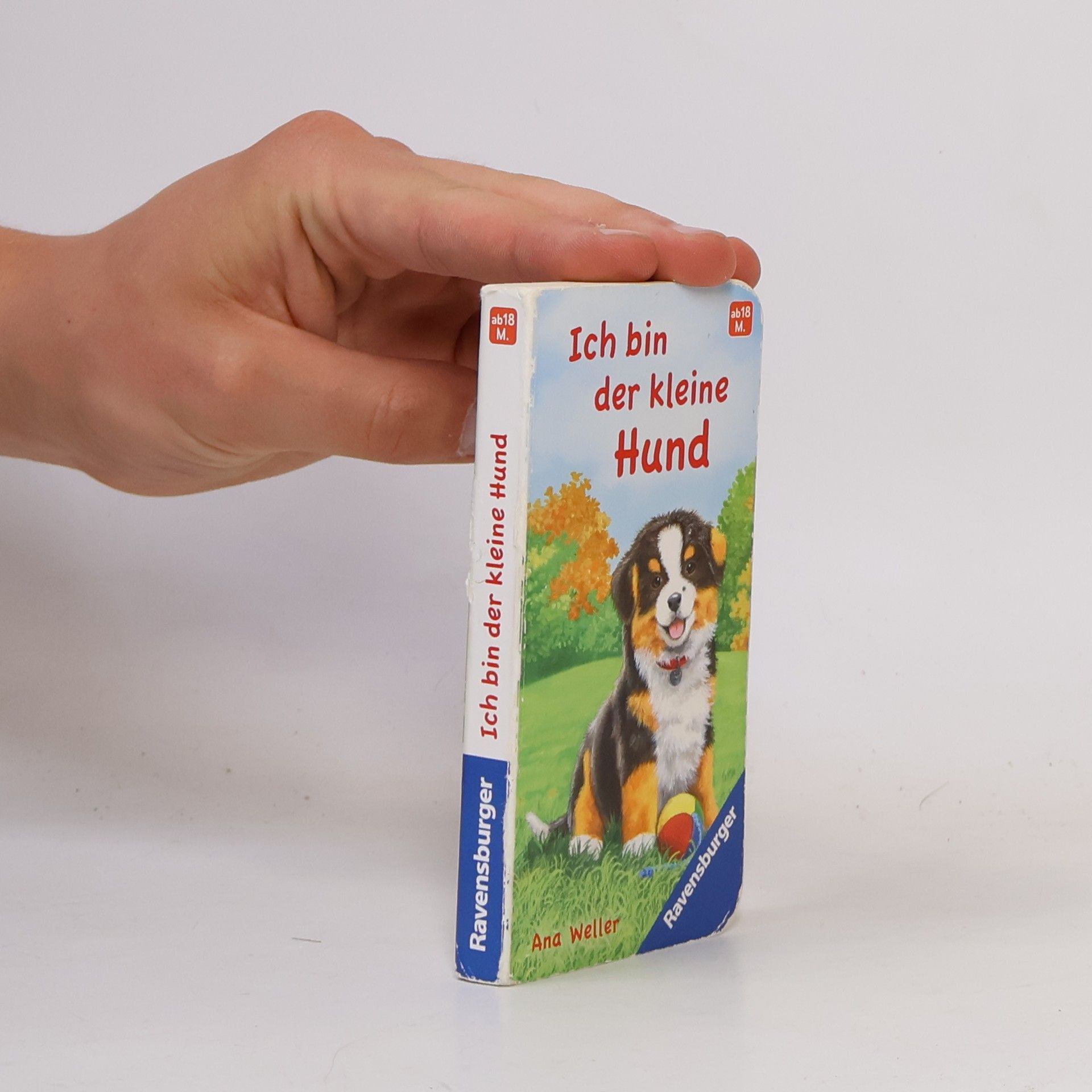 Ich bin der kleine Hund