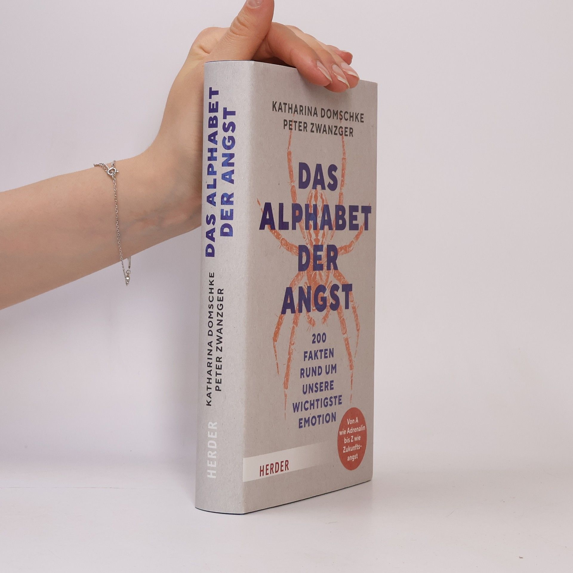 Peter Zwanzger Das Alphabet der Angst