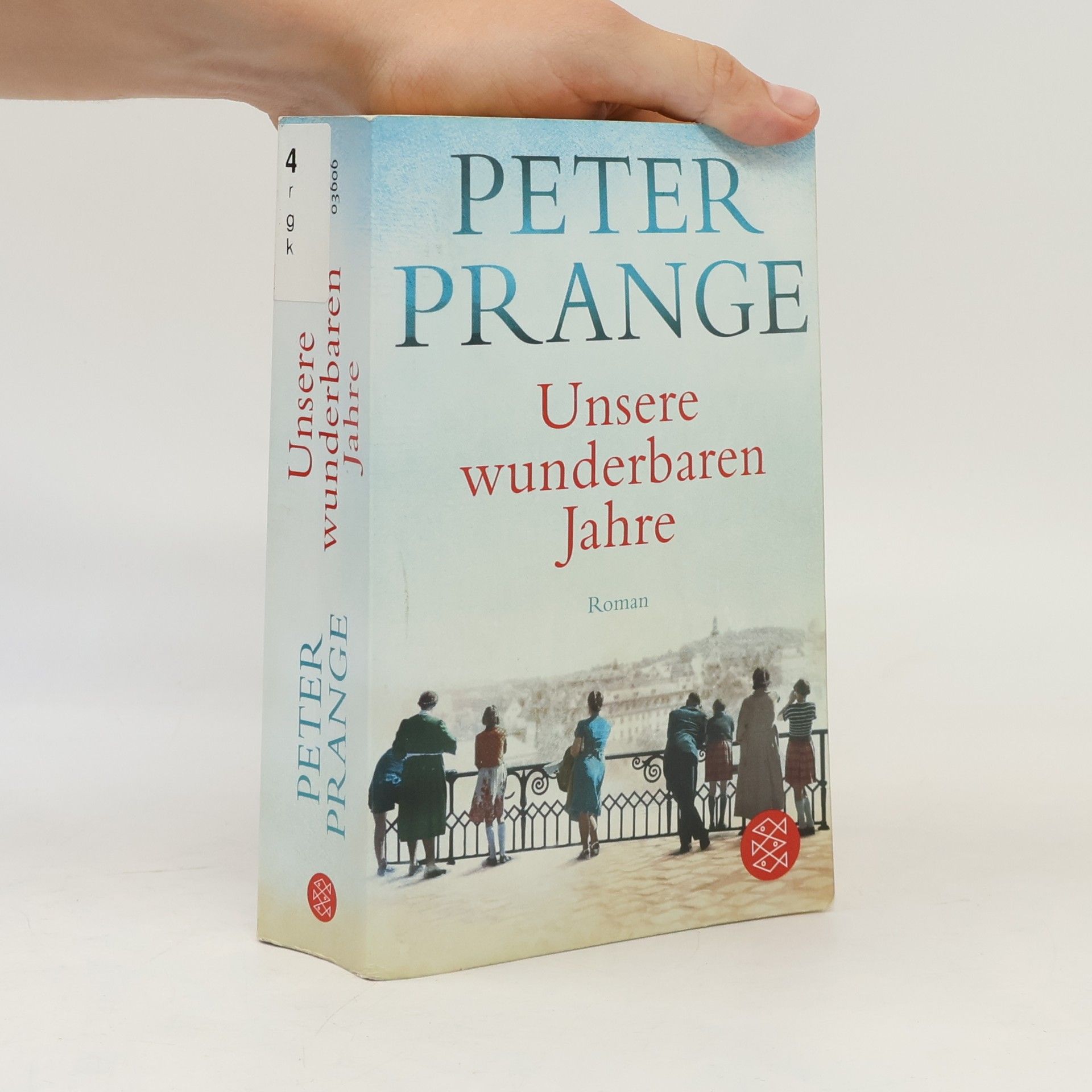 Peter Prange Unsere wunderbaren Jahre