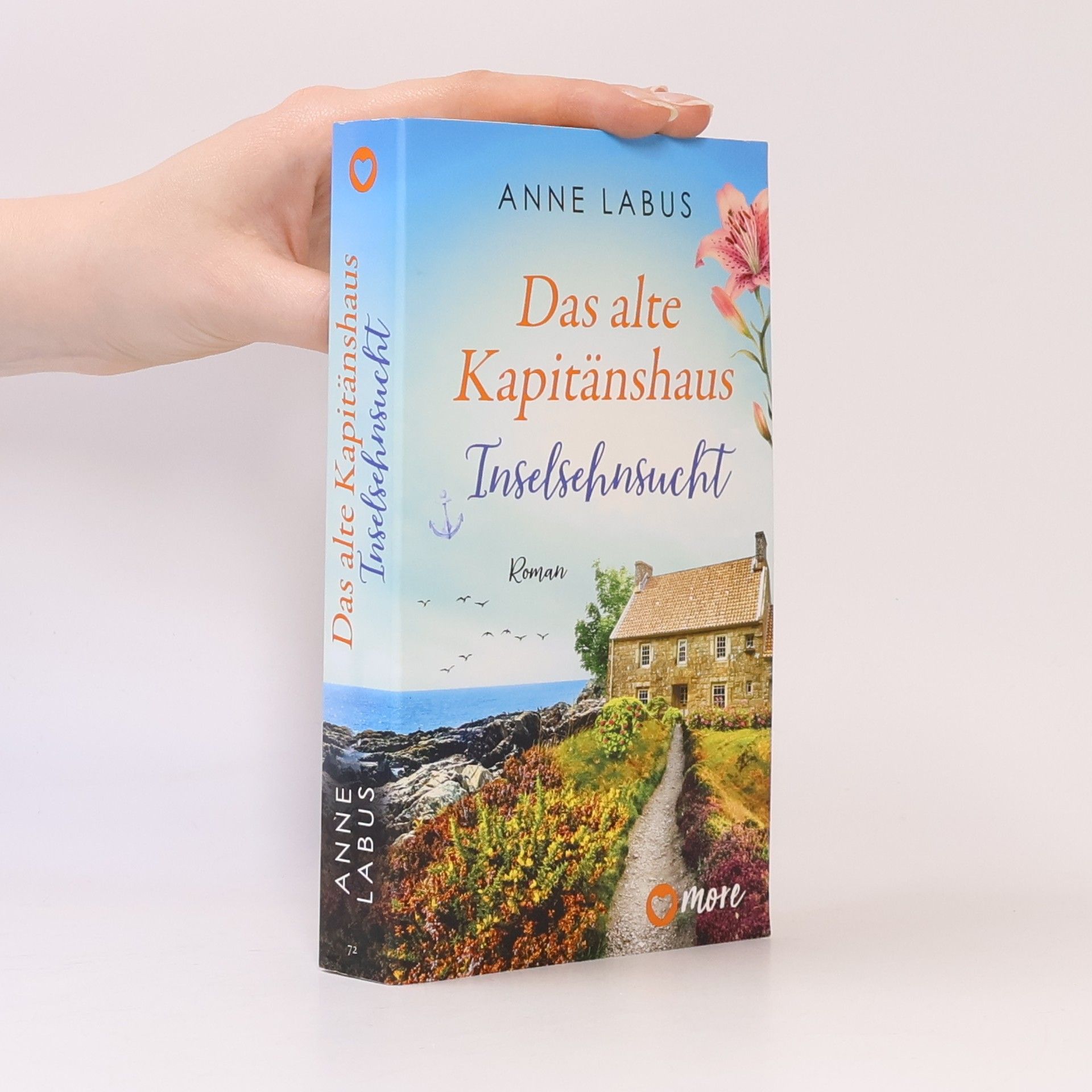 Anne Labus Das alte Kapitänshaus - Inselsehnsucht - limitiert: gestalteter Buchschnitt exklusiv in der 1. Auflage