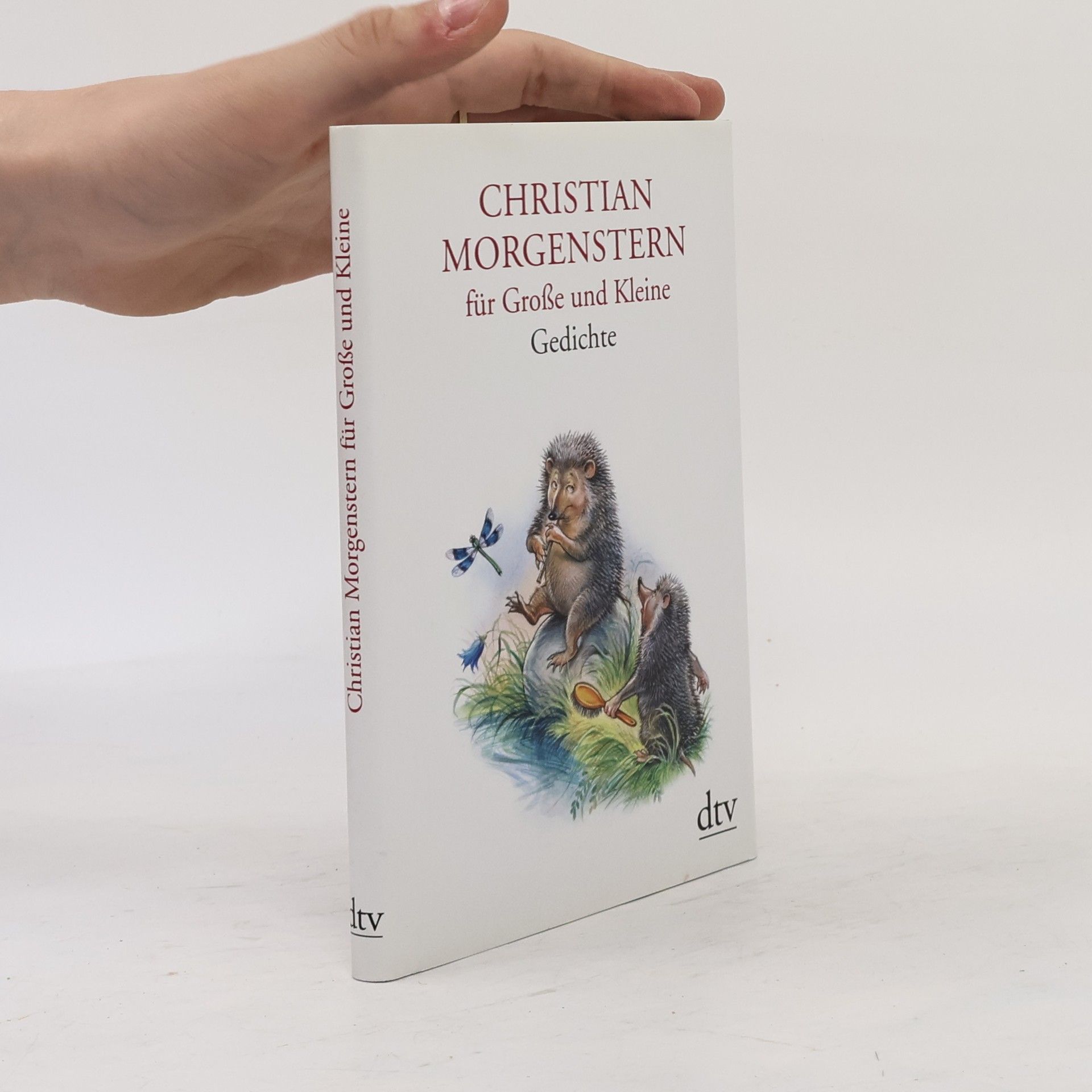 Reinhard Michl Christian Morgenstern für Große und Kleine