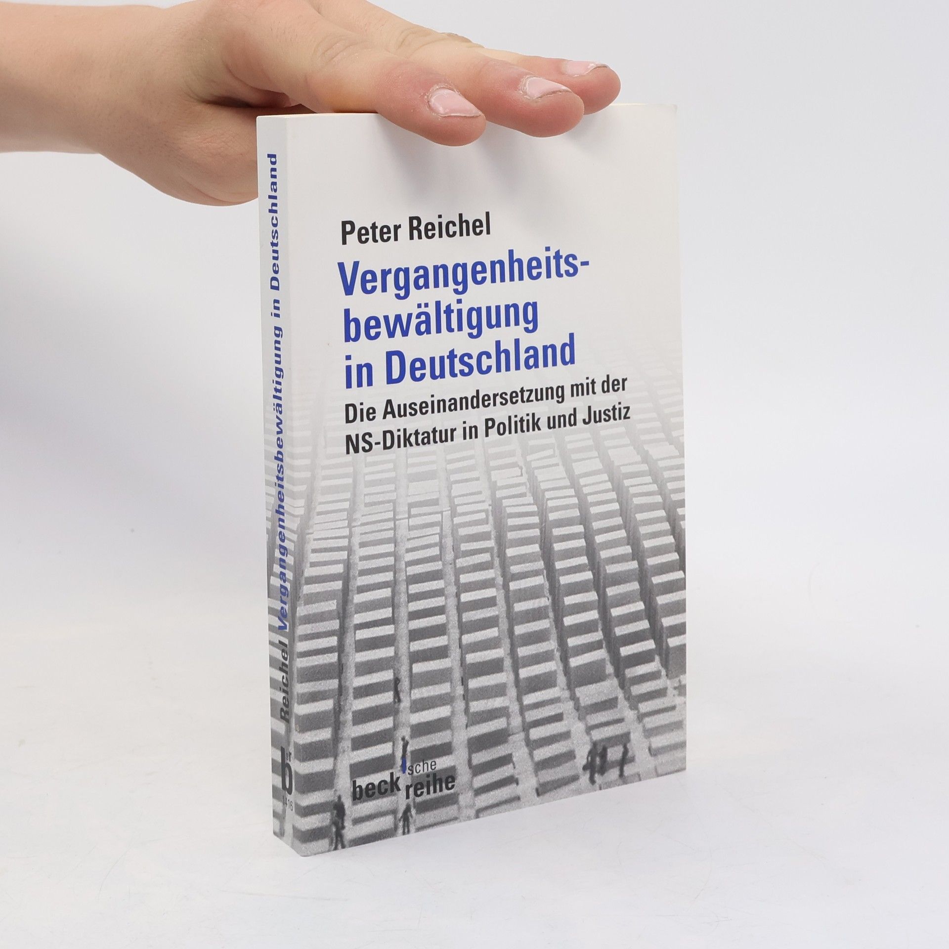 Peter Reichel Vergangenheitsbewältigung in Deutschland