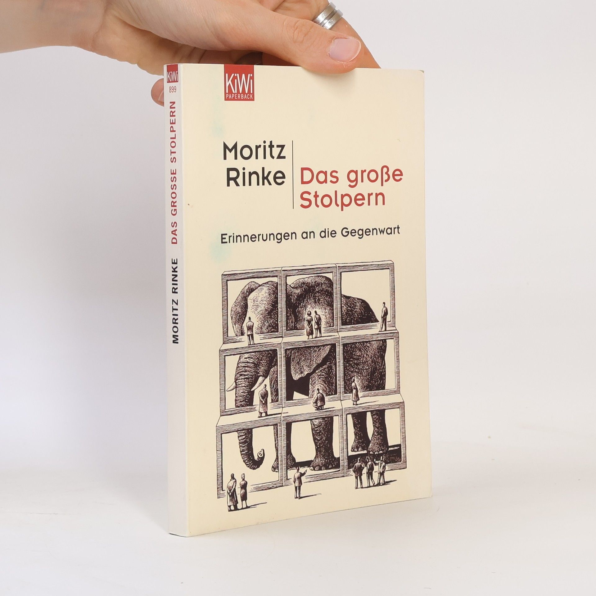 Moritz Rinke Das große Stolpern. Erinnerungen an die Gegenwart
