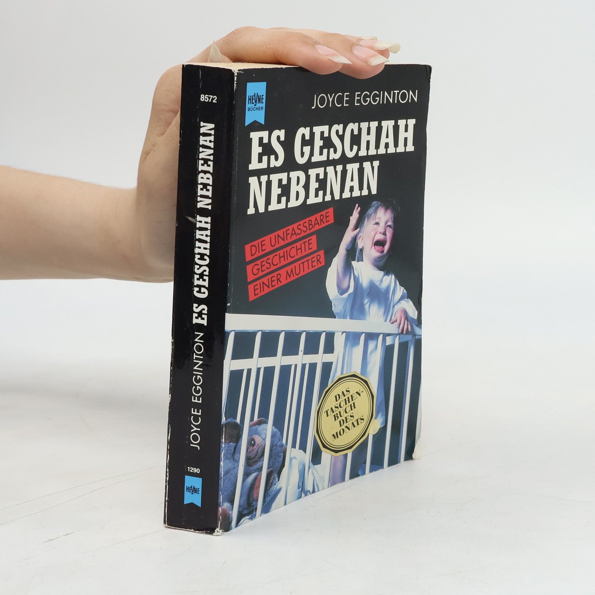 Joyce Egginton Es geschah nebenan