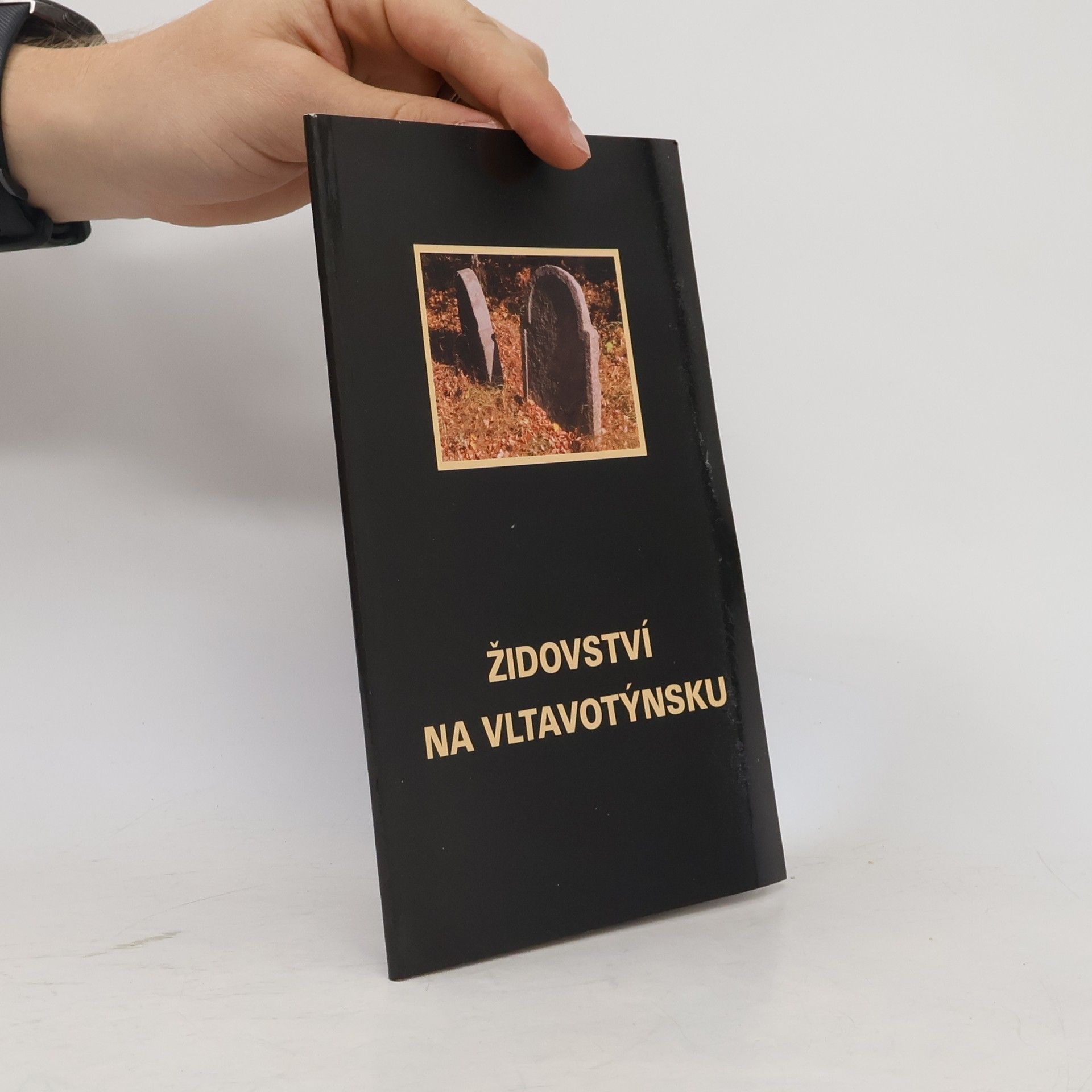 Martina Sudová Židovství na Vltavotýnsku