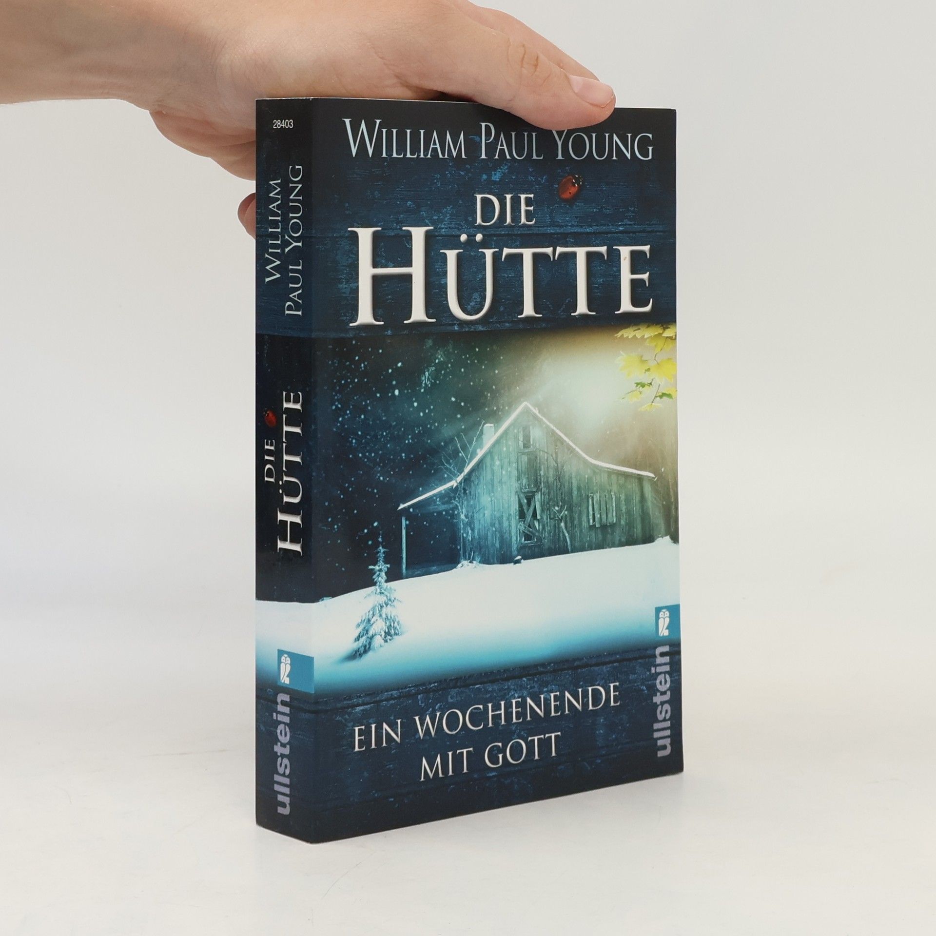 William P. Young Die Hütte
