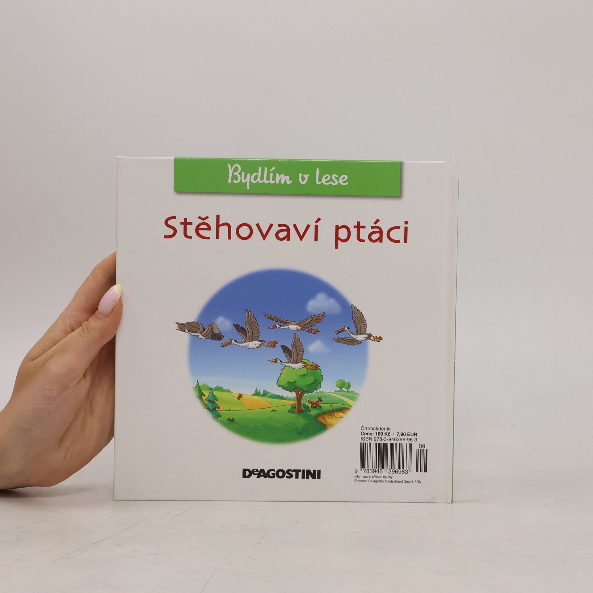 Autorenkollektiv Bydlím v lese 66. Stěhovaví ptáci