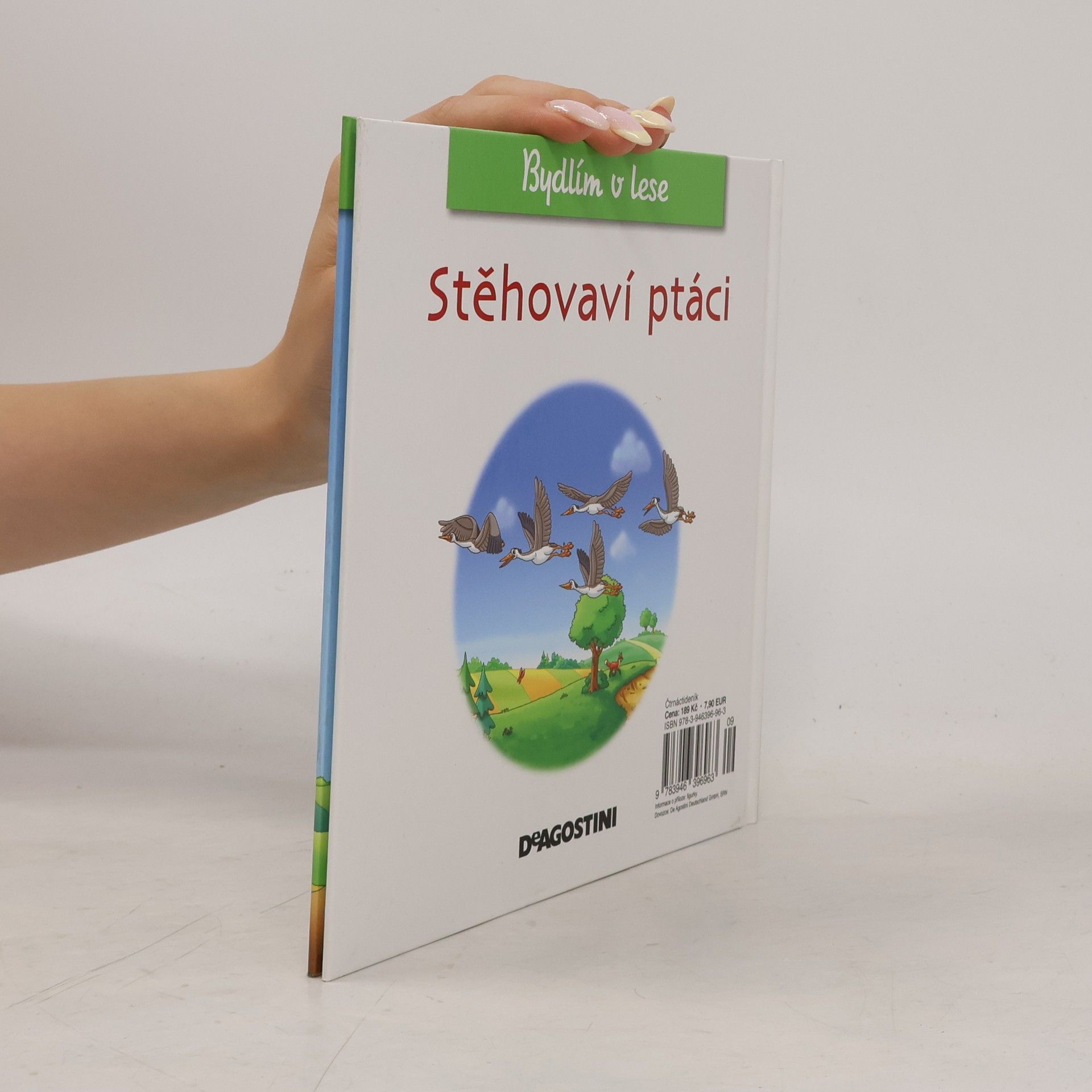 Autorenkollektiv Bydlím v lese 66. Stěhovaví ptáci