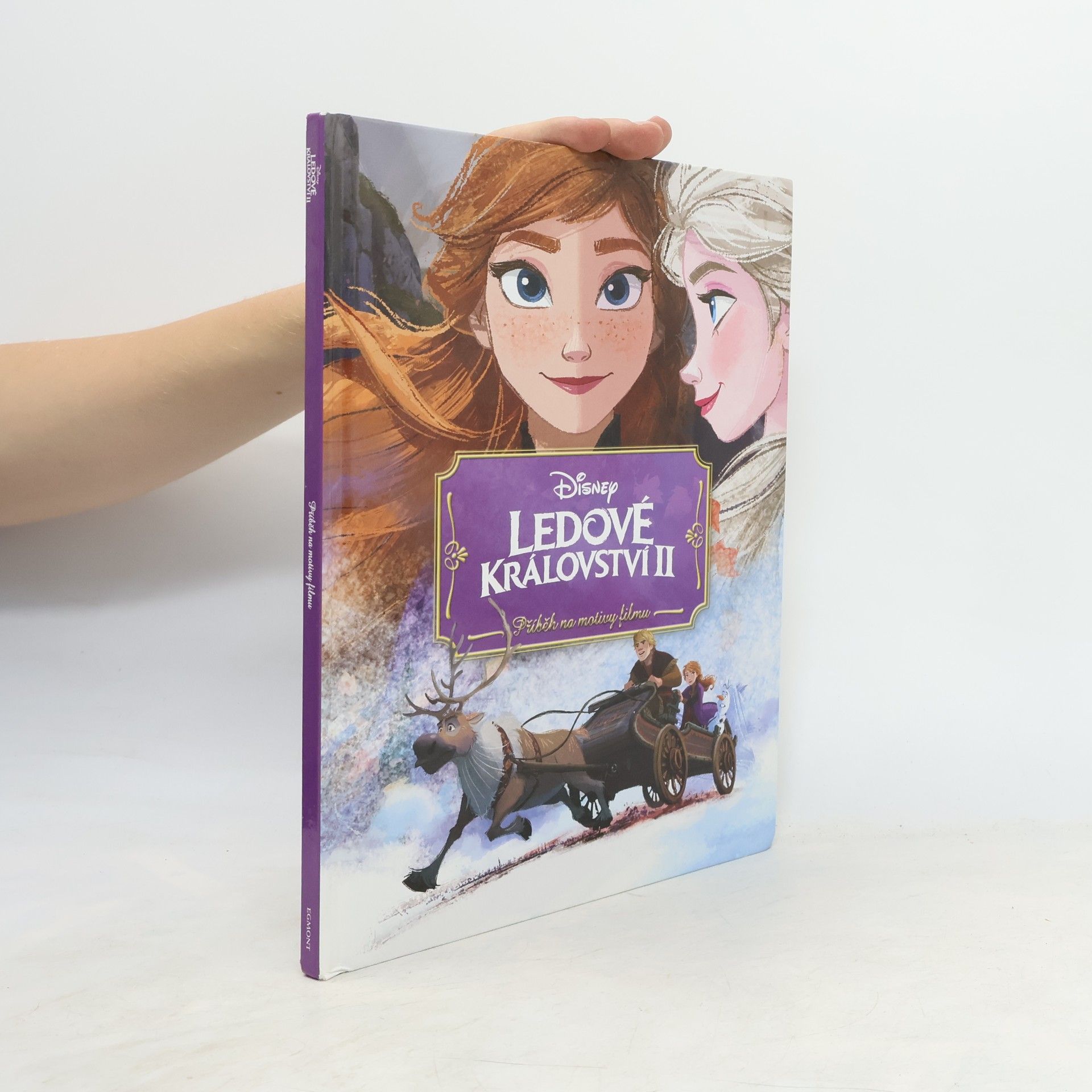 Petra Vichrová Ledové království II